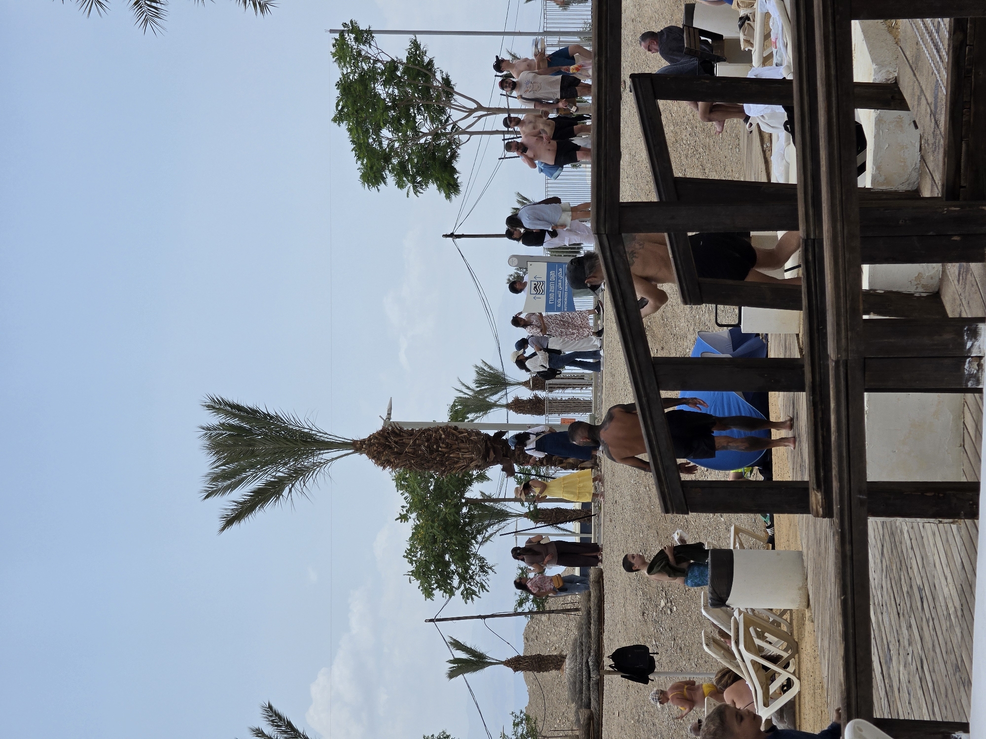 The scene is a beachside setting in the city of Tamar Regional Council, Israel. The sky is clear blue. A group of people in beach attire are walking on a sandy area near palm trees and other greenery. Some individuals are standing and relaxing on or near a wooden structure resembling a deck or viewing platform. Beach chairs and various personal items are visible.