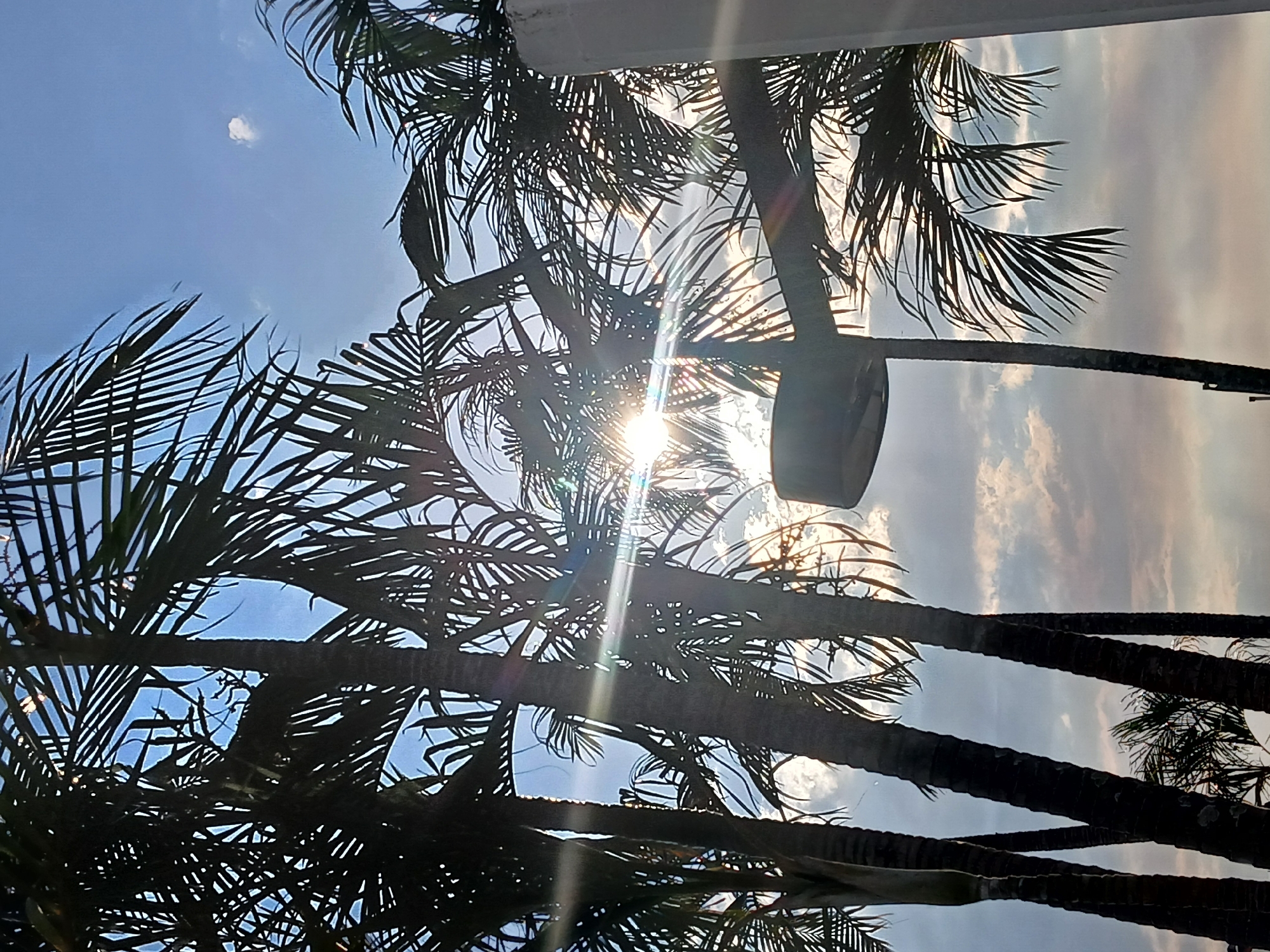 The image shows a view looking up through palm trees with the sun shining through the leaves. The sky is visible in the background, with both clear blue and hazy, cloud-covered sections. There is a round, cylindrical object hanging amongst the trees. The photo is taken from Ciudad Guayana, Venezuela.