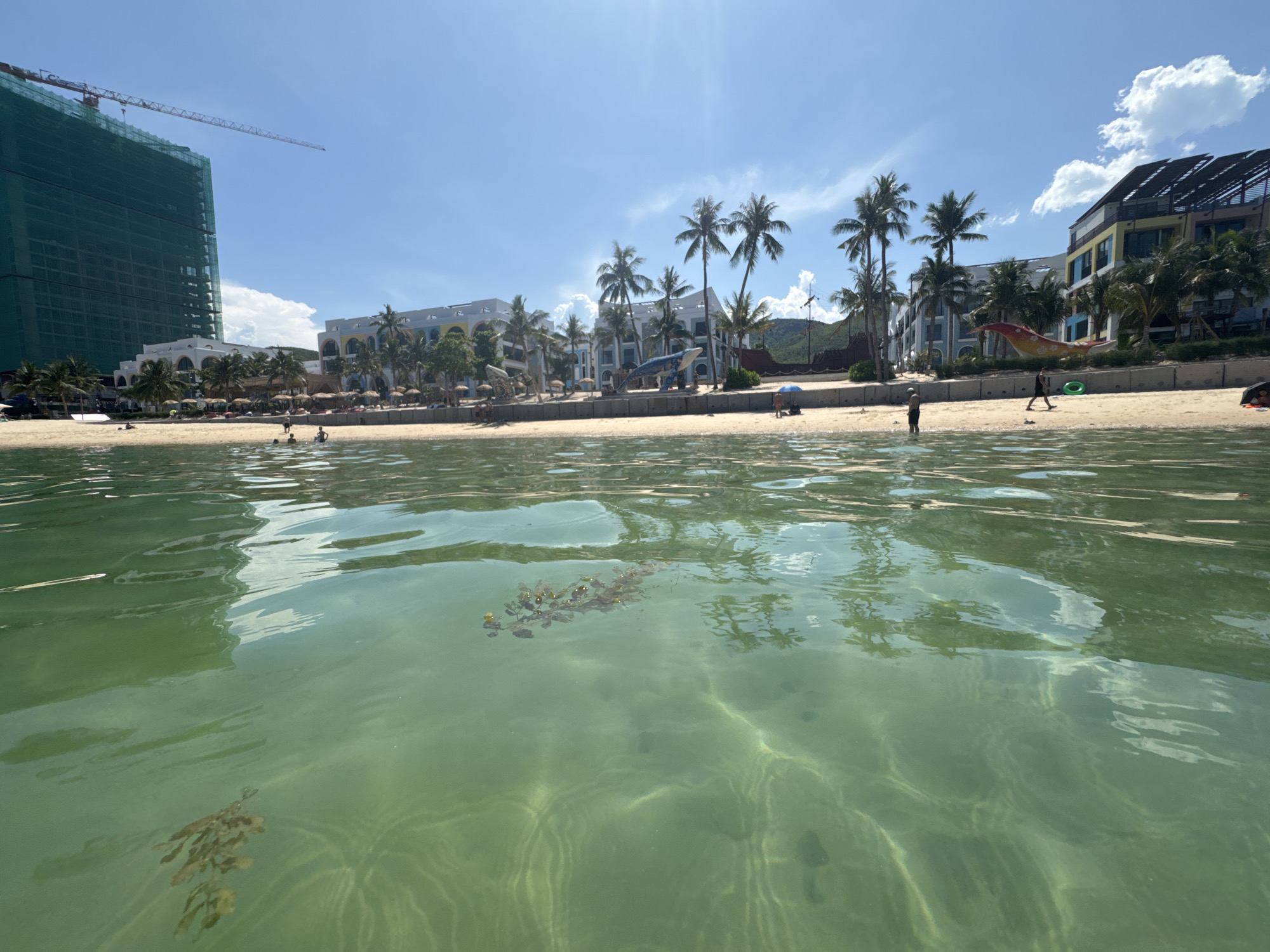 The image depicts a beach scene in Bac Nha Trang Ward, Vietnam, with a focus on the shallow, clear green water in the foreground and a sandy beach with buildings and palm trees in the background. Sunlight glints off the water's surface, creating rippling patterns. Submerged vegetation, appearing as dark, leafy clusters, is visible beneath the surface.
The beach is lined with a row of modern buildings, some featuring colorful facades and balconies, interspersed with lush palm trees. A large construction site with a green net-covered building and a prominent crane is visible on the left side of the frame. Several beach umbrellas and lounge chairs are set up on the sand, indicating a resort or tourist area.
A few individuals are present on the beach and in the shallow water. On the sand, a person in dark shorts and a t-shirt walks towards the right, and another person stands near the water's edge. In the water, a few smaller figures, likely children or adults wading, can be seen. A bright green inflatable ring lies on the sand.
In the middle ground, a large, colorful inflatable whale or dragon-like sculpture is positioned on the beach, adding a playful element to the scene. The sky is bright blue with scattered white clouds, suggesting a sunny day. The overall impression is a lively tropical beach resort environment.