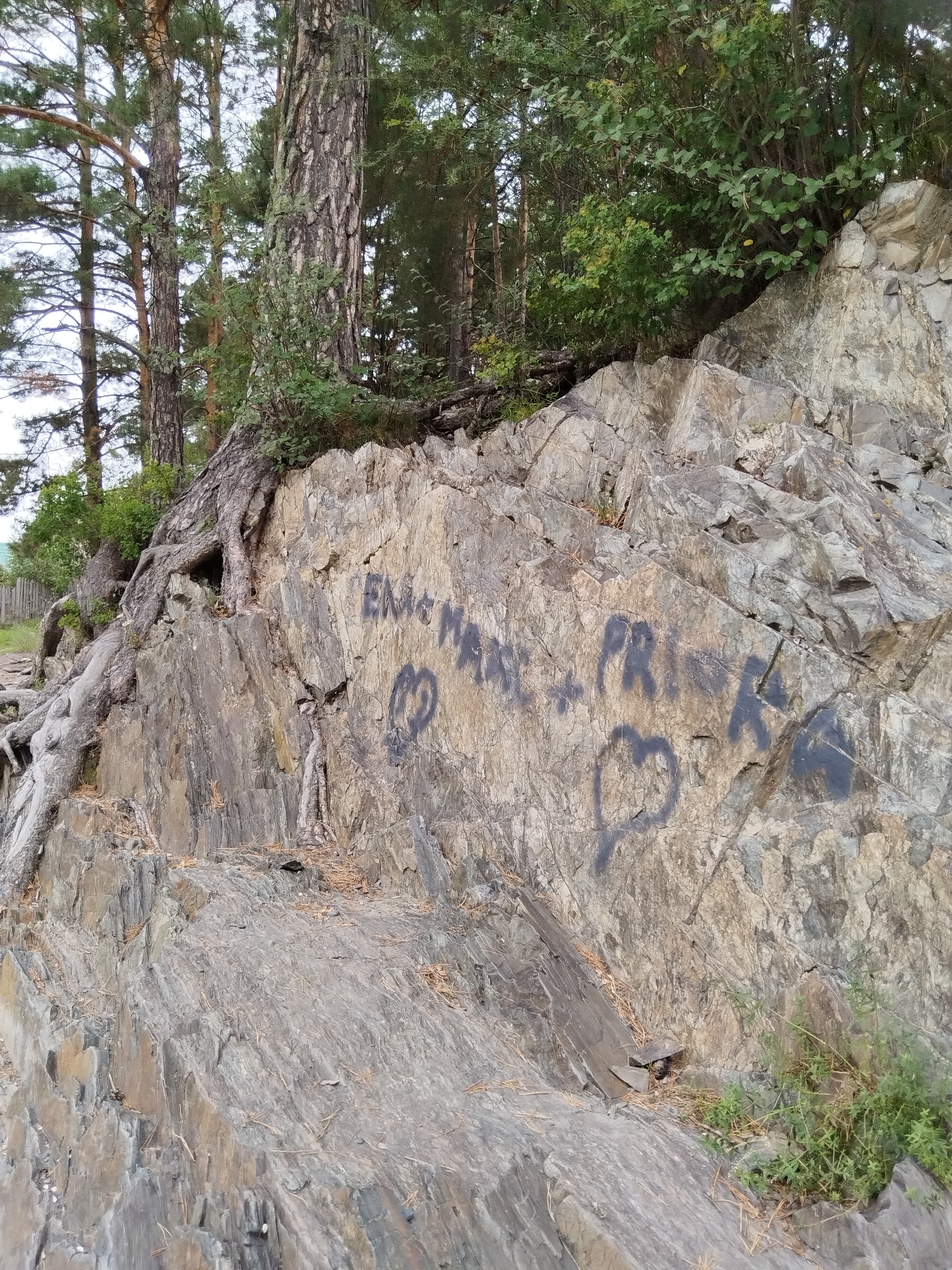 A weathered rock face in Chemal, Russia, is marked with dark graffiti. The rock is rough and layered, with visible cracks and fissures. Trees with exposed roots grow from the top of the rock face, their roots gripping the stone. Green foliage surrounds the base of the rock and spills over some of the lower sections. The graffiti consists of writing and two heart symbols, all in a dark, possibly spray-painted, medium. The background shows more trees and a cloudy sky. The scene appears to be outdoors in a natural, rocky environment.