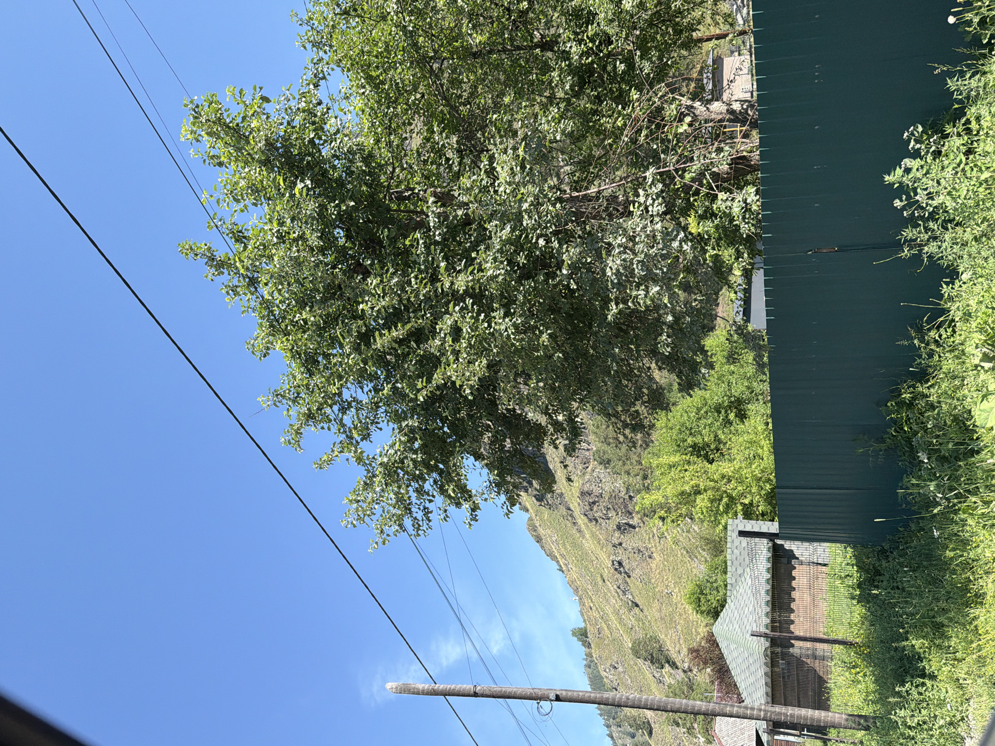 The image shows a rural scene with a clear blue sky and a large green tree in the foreground. A dark green metal fence runs horizontally across the lower half of the image. Behind the fence, a building with a green roof is visible, along with more trees and a steep, grassy mountainside in the background. A wooden utility pole stands on the left side of the frame, with power lines stretching across the sky. The scene appears to be a sunny day. The location is identified as Uznezya, Russia. There are no people or animals visible in the image.