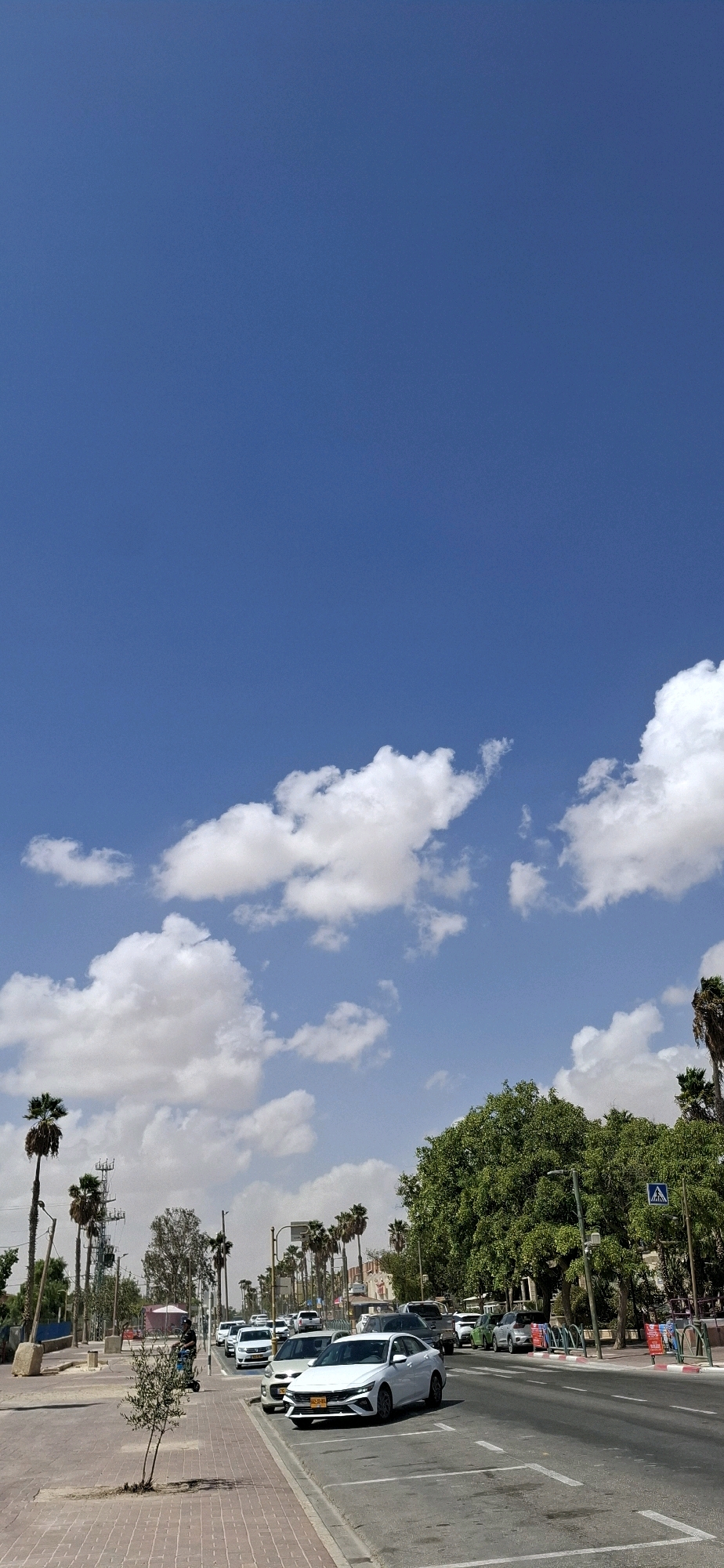 The image depicts a street scene in Yerocham, Israel, under a clear blue sky dotted with white cumulus clouds. The foreground features a sidewalk paved with reddish-brown bricks, a young, sparsely-leaved tree, and parking spaces marked by white lines. A white sedan is parked on the right side of the street, facing the viewer. The street itself has multiple lanes of traffic, with several cars visible, including a white SUV, a green car, and a white hatchback.
On the left side of the street, there are palm trees, utility poles, and some low-lying buildings or structures. On the right side, a dense row of leafy green trees lines the sidewalk, and a pedestrian crossing sign with a blue background and a white pedestrian symbol is visible. Further down the street, more palm trees and buildings are visible. The overall impression is a sunny day in an urban or semi-urban environment.