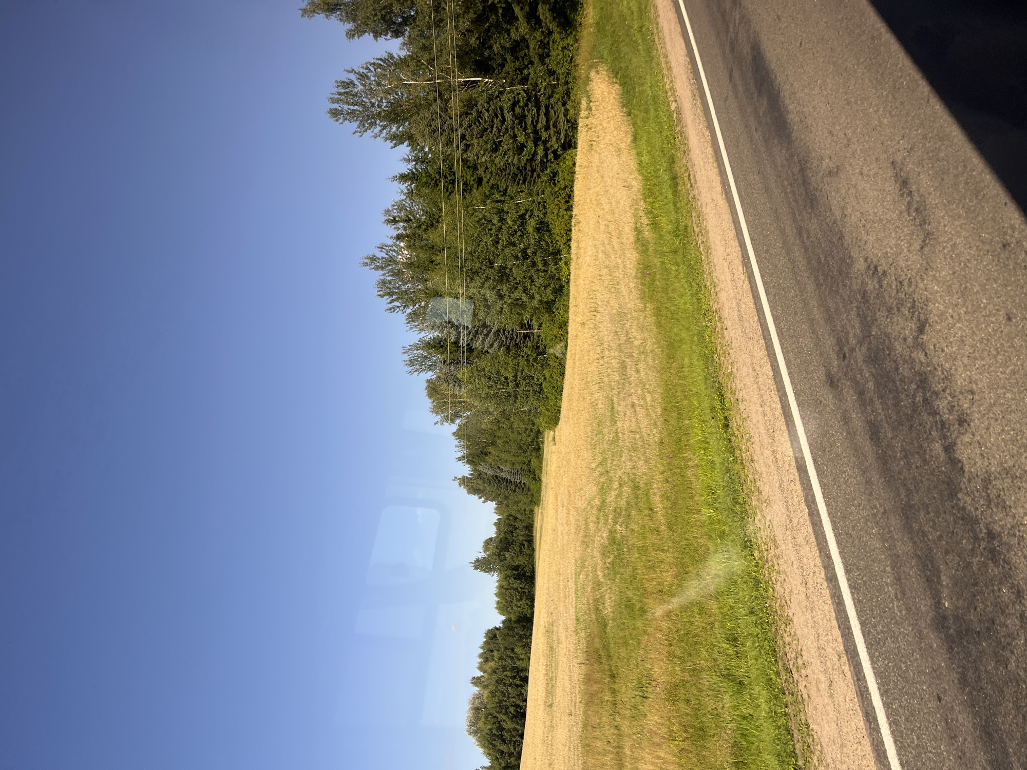 The image depicts a sunlit rural landscape with a clear blue sky. In the foreground, a two-lane asphalt road runs diagonally from the bottom right towards the left. The road has a white line separating the lanes and a gravel shoulder on the left. Beyond the shoulder, a field of golden crops, likely wheat or barley, stretches into the mid-ground. The field is bordered by a dense line of lush green trees, including both deciduous and coniferous varieties, forming a natural backdrop. The trees are tall and varied in species, suggesting a natural forest or woodland edge. The overall scene is tranquil and agrarian, typical of the Belarusian countryside. The image does not contain any people or specific landmarks to pinpoint a precise location within Myadzyel.