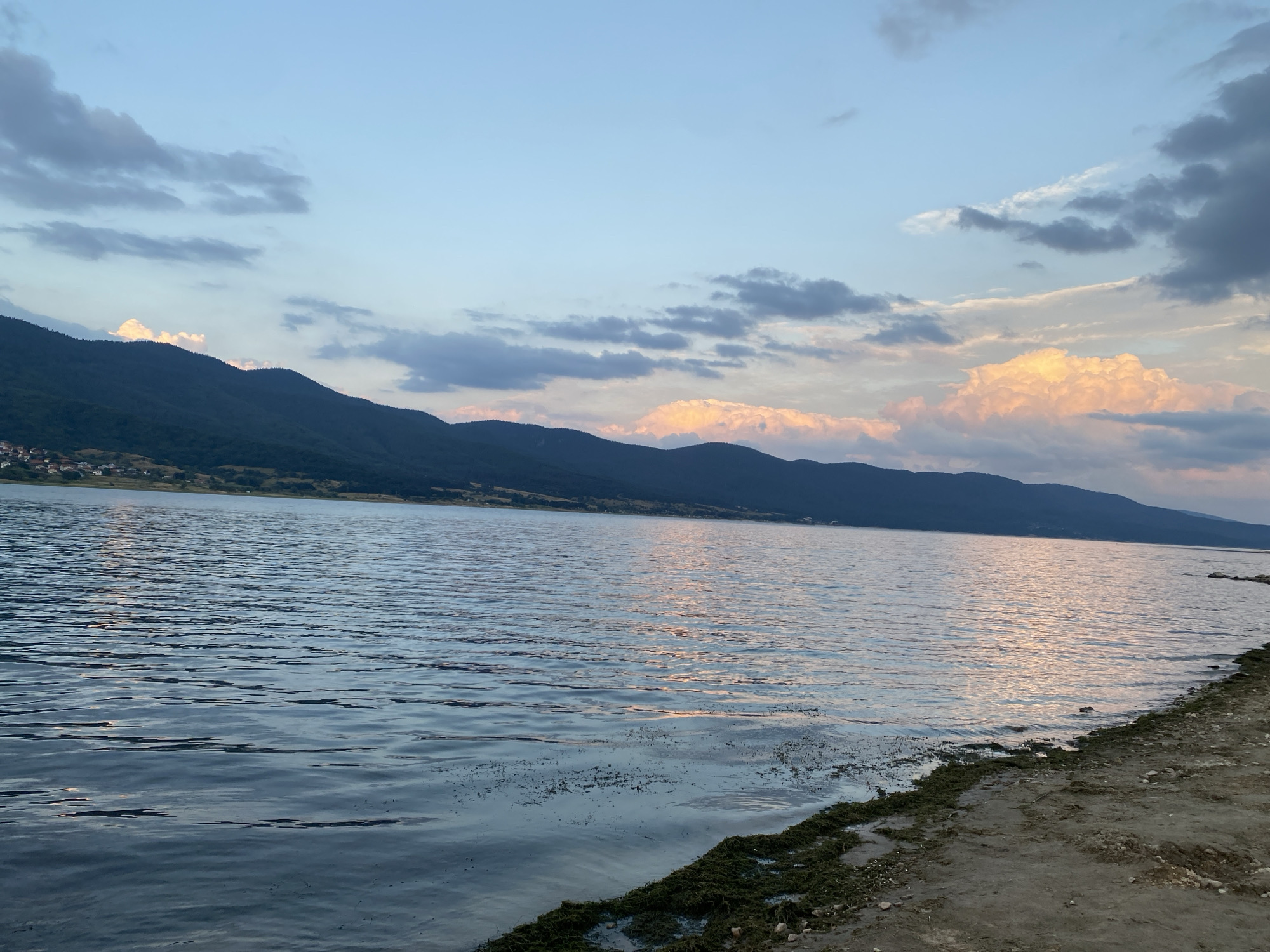 The image depicts a wide, calm body of water, likely a lake, reflecting the soft hues of a sunset or sunrise. Gentle ripples disturb the surface, creating shimmering patterns. Along the far edge of the water, a line of dark, undulating mountains is visible, topped with lush green vegetation. A small cluster of buildings, appearing to be a village or town, is nestled on the lower slopes of the mountains. The sky above is a blend of pale blues and grays, with scattered clouds, some tinged with warm orange and pink light from the setting or rising sun. The foreground of the image shows a narrow strip of shoreline, composed of sand and scattered pebbles, with patches of dark green seaweed or aquatic vegetation. The overall impression is one of serene natural beauty, characteristic of the landscape around Sarnitsa, Bulgaria, a town situated on the shores of the Dospat Reservoir in the Rhodope Mountains. There are no people or animals visible in the scene.