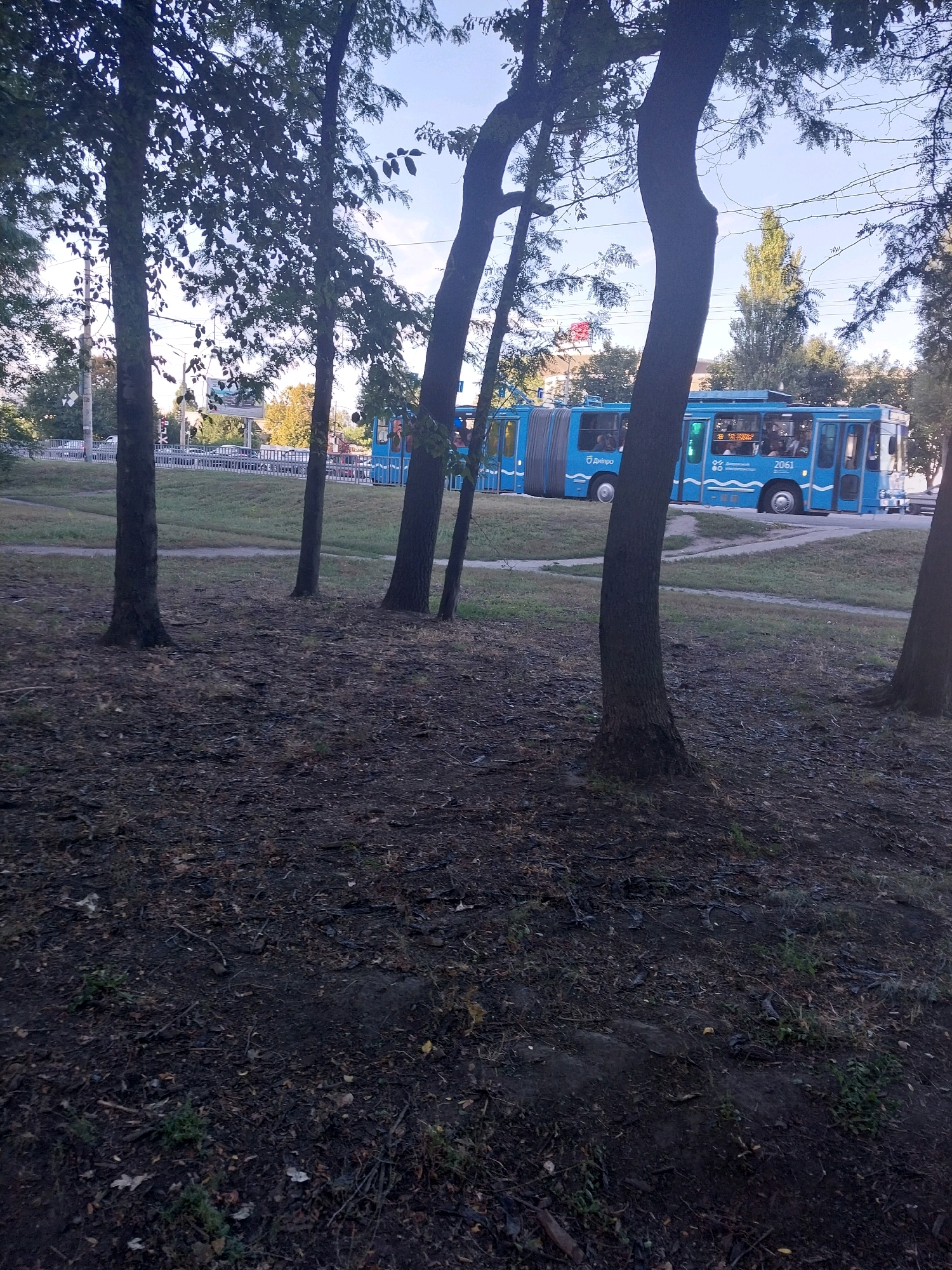 The image shows a blue articulated bus, numbered 2061, with the "Дніпро" logo, on a street in Dnipro, Ukraine. The bus is parked or moving slowly. The foreground of the image is a dark, mulchy ground covered with leaves and twigs, with several trees in the middle ground. In the background, there are more trees, a grassy slope, a road with cars, and a building with a red flag. The sky is clear and blue.