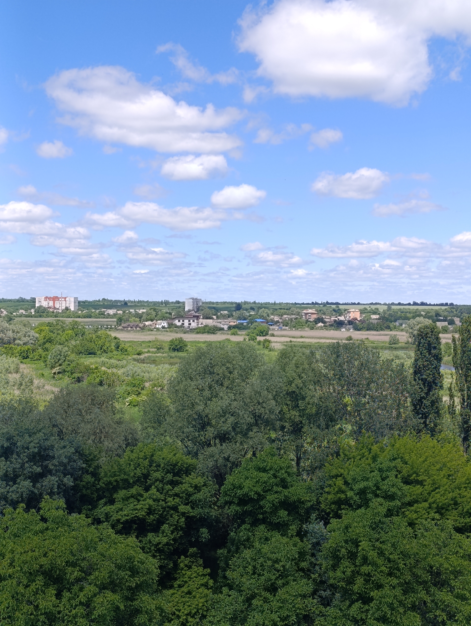 This is a daytime, eye-level, wide shot of a landscape in Bila Tserkva, Ukraine, under a bright blue sky with scattered white cumulus clouds. In the foreground, dense green foliage from various trees fills the bottom half of the frame, with some taller, darker trees on the right. Beyond the immediate trees, a varied landscape unfolds with fields, reeds, and scattered buildings. Further in the distance, on the horizon, a few clusters of buildings are visible, including a tall, light-colored apartment building with a red upper section and a shorter, gray cylindrical structure. The scene appears to be a rural or semi-rural area on the outskirts of the city.