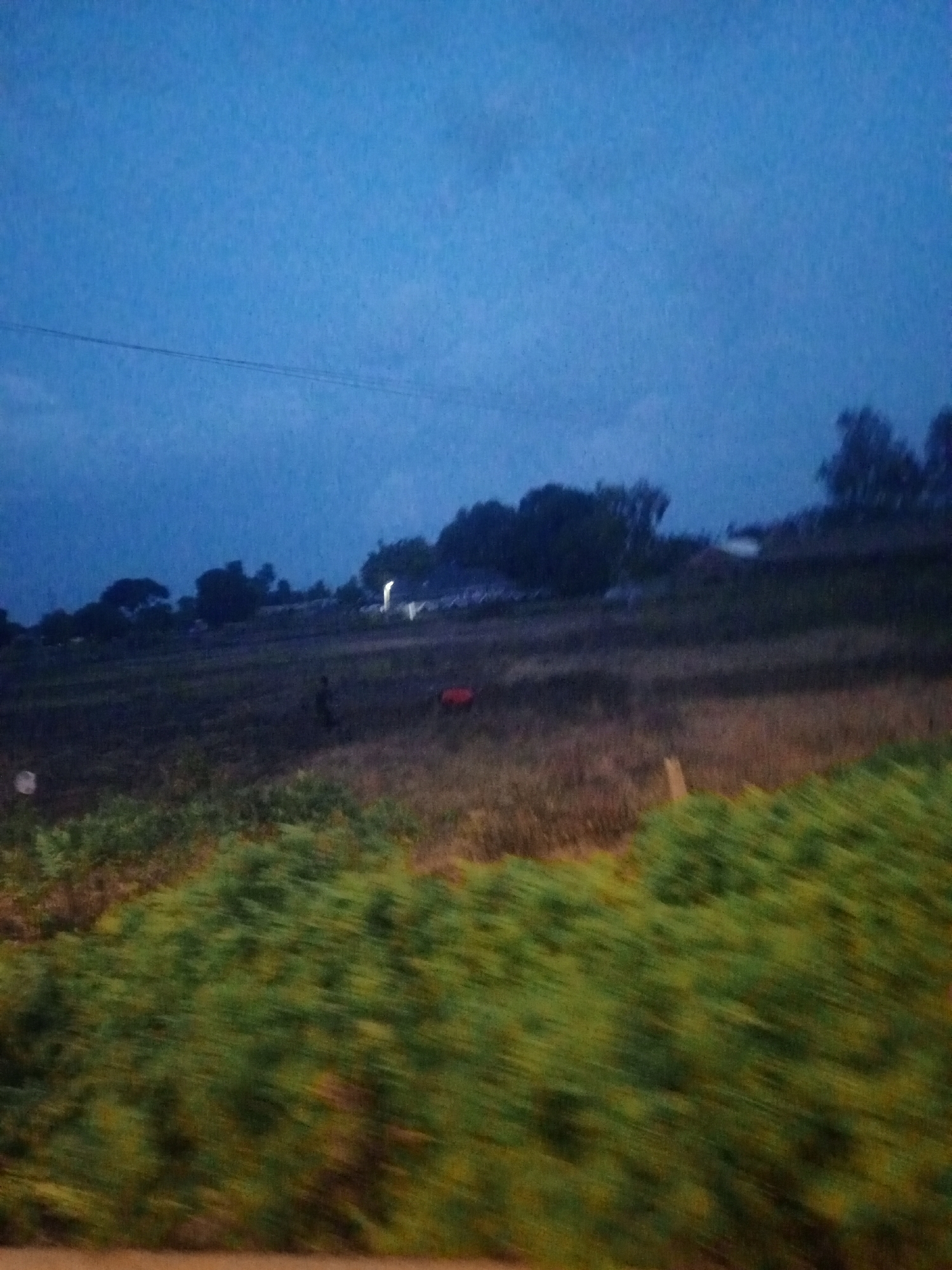 The image depicts a rural landscape at dusk, possibly in Bukuru, Nigeria. The sky is a deep blue, transitioning to darker hues as it approaches the horizon. In the foreground, a blurred mass of green vegetation, likely bushes or trees, streaks across the bottom of the frame, suggesting movement.
Behind this, a field of dry, straw-colored grass stretches into the midground, with patches of darker soil visible. A lone figure, appearing small and indistinct, stands in this field. To the right, a red object, possibly a piece of equipment or a tarp, rests on the ground. Further in the background, a cluster of trees forms a dark silhouette against the sky, and faint lights suggest a dwelling or settlement. The overall atmosphere is tranquil, marked by the fading light and the quietude of the rural setting.
