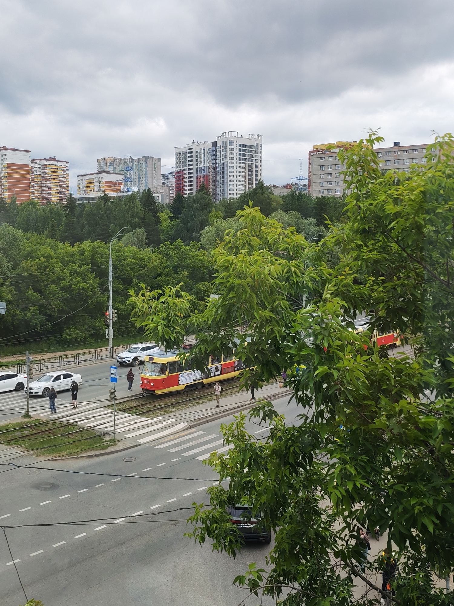 This is an outdoor, eye-level, medium shot of a street scene in Izhevsk, Russia, on a cloudy day. In the foreground, lush green trees with many leaves obscure parts of the view. The middle ground features a city street with a pedestrian crossing, tram tracks, and several vehicles. A red and yellow tram with advertisements on its side is stopped at the pedestrian crossing, identified by the number "1010" on its front. Several people are visible, including pedestrians waiting to cross the street or near the tram, and individuals in cars. White cars and a dark-colored SUV are present on the road. A traffic light, currently red, is visible. The background reveals a dense urban landscape with a variety of apartment buildings of different heights and architectural styles, ranging from mid-rise to high-rise structures. The sky is overcast, contributing to a muted lighting condition.