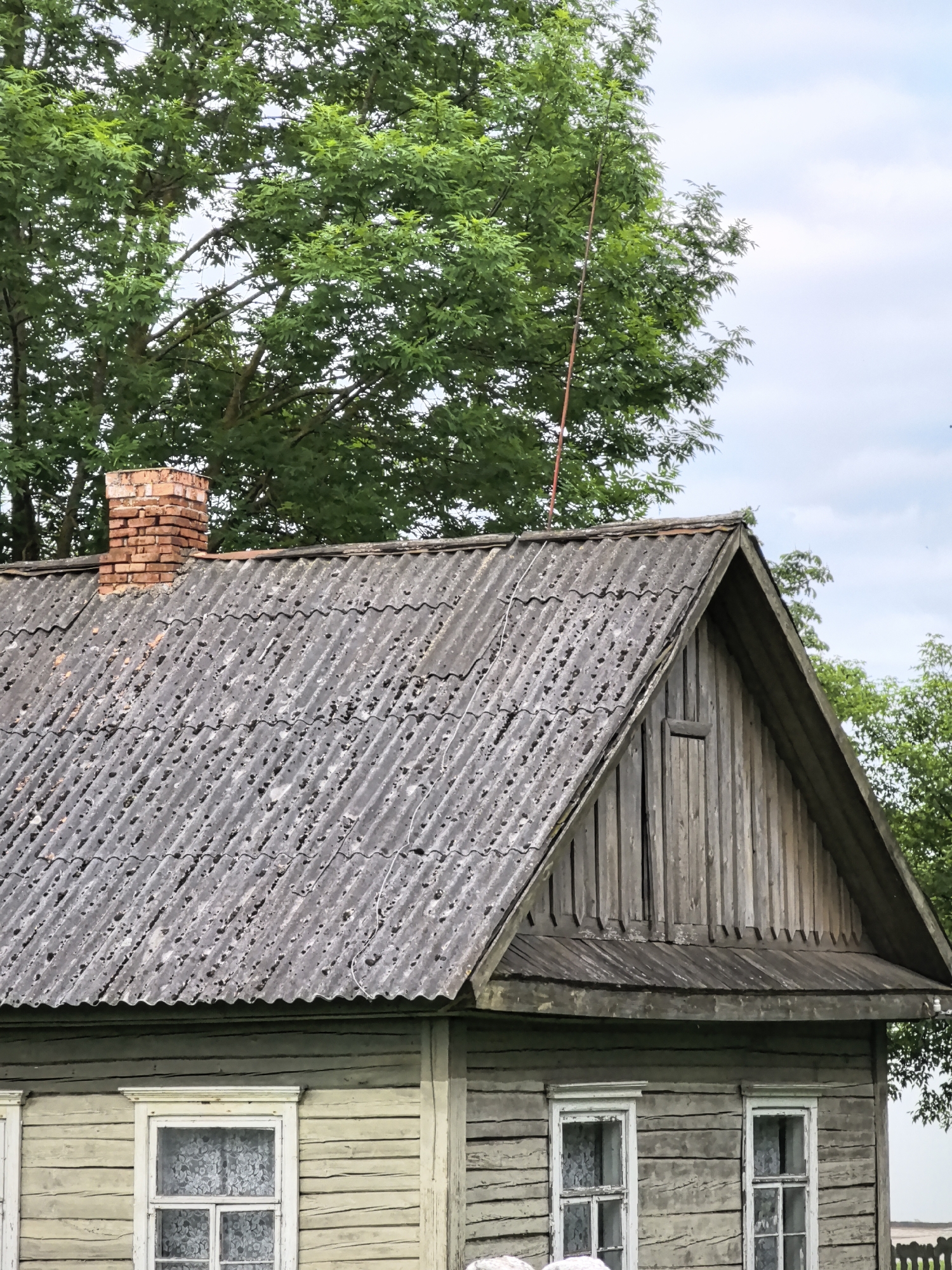 An exterior, medium shot captures the top half of a weathered, light-colored wooden house with a gray corrugated roof. A brick chimney rises on the left side of the roof. The roof is made of wavy, dark gray material, showing signs of age and possibly moss or lichen growth. A thin, reddish pole or antenna extends from behind the roof into the upper branches of a large, leafy green tree that dominates the background. The sky is overcast with white clouds. The house has two visible windows with white frames and patterned white curtains. The walls of the house are made of horizontal wooden planks.
