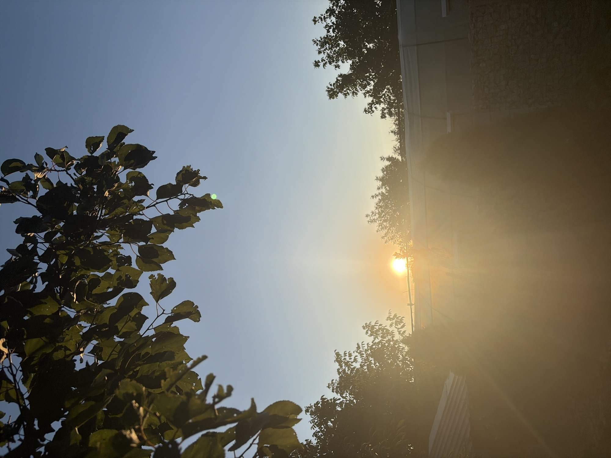The image depicts a serene outdoor scene at sunset, likely in the vicinity of Oxentea, Moldova. In the foreground, a branch laden with green leaves hangs from the upper left corner, silhouetted against a clear blue sky. The sun, a bright, glowing orb, is positioned just above the horizon line in the center of the frame, casting a warm, golden light across the scene. Its rays emanate outwards, creating a lens flare effect that softens the overall image and bathes the lower half in a hazy glow.
Below the sun, a row of trees forms a dark, undulating silhouette against the bright sky. Behind the trees, a long, low structure runs horizontally across the frame, its surface appearing to be covered by a light-colored tarp or sheeting. To the left of this structure, a sloped roof with a corrugated metal surface is visible. To the right, a section of a wall constructed from rough-hewn stones is partially illuminated by the sunset.
The overall atmosphere is one of tranquility and natural beauty, characterized by the warm hues of the setting sun and the gentle contrast between the illuminated sky and the darker elements of the landscape. There are no people visible in the image, and the focus is on the natural environment and the architectural elements. The scene suggests a rural or semi-rural setting, consistent with the landscape often found around towns like Oxentea.