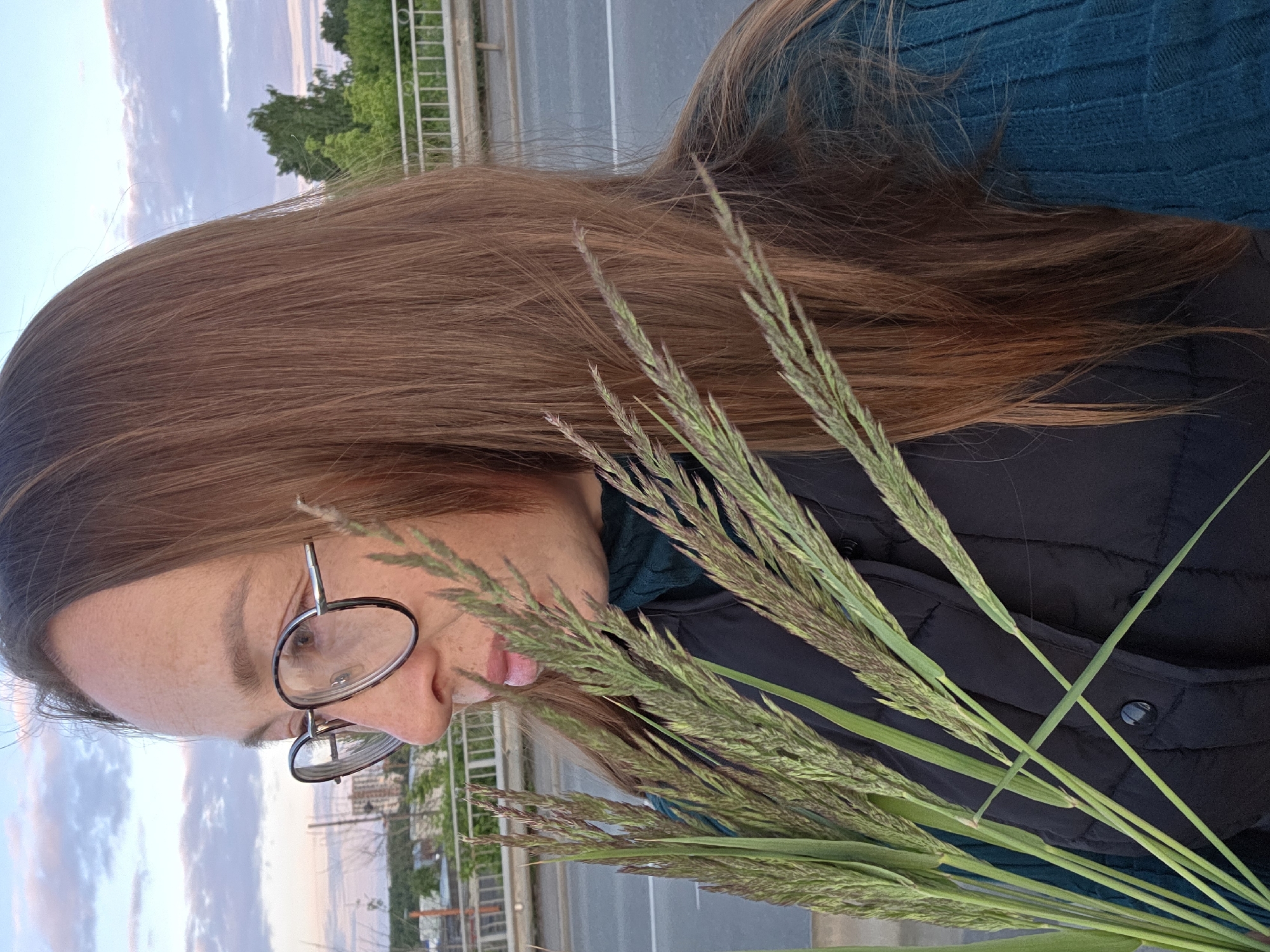 An image captures a person, likely female, in an outdoor setting in Chaikovsky, Russia. The individual is shown in profile, with their head tilted slightly downwards and to the left, focusing on a large bunch of green, spiky plants resembling tall grass or wild oats that they are holding.
The person has long, straight, reddish-brown hair that covers much of the left side of the frame. They are wearing round-framed glasses with a dark lower rim and a lighter, possibly metallic, upper section. Their attire includes a dark, possibly black, quilted vest or jacket worn over a dark teal or green ribbed sweater. The skin on their face and neck shows some freckles.
The background suggests a tranquil outdoor environment during either dawn or dusk, indicated by the light blue sky with soft white and light pink/purple clouds. Green trees are visible in the mid-distance. A light-colored metal railing is present in the upper right, behind which a grey paved surface, possibly a road or bridge, can be seen. No discernible text is visible in the image. The overall mood is contemplative, with the person seemingly engrossed in the natural elements they are holding.