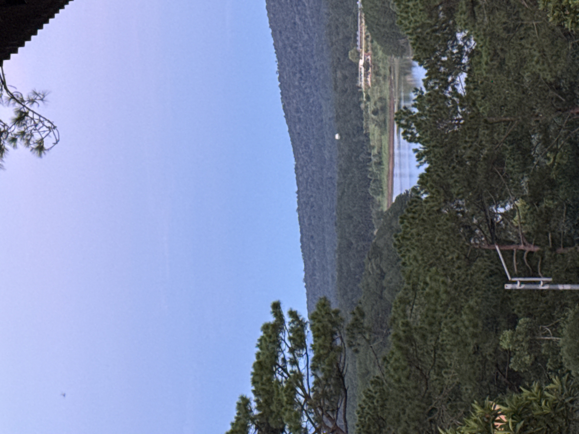 The image captures a serene landscape scene, likely in or around the city of Da Lat, Vietnam, characterized by lush greenery and a tranquil body of water. In the foreground, the dense foliage of pine trees dominates, their branches reaching out and partially obscuring the view. A faint, white pole-like structure with horizontal bars is visible on the right side, possibly a street light or a marker.
Beyond the immediate trees, rolling hills covered in dense, dark green forests stretch into the distance, forming a layered backdrop. A calm lake or reservoir is nestled within these hills, its surface reflecting the pale, clear sky. On the far bank of the water, a cluster of buildings with red roofs can be seen, suggesting a small settlement or a resort area. A faint, circular object, possibly a balloon or a light fixture, is suspended in the sky above the distant hills. The sky itself is a soft, gradient blue, indicative of either early morning or late evening light. The overall impression is one of natural beauty and peacefulness.
