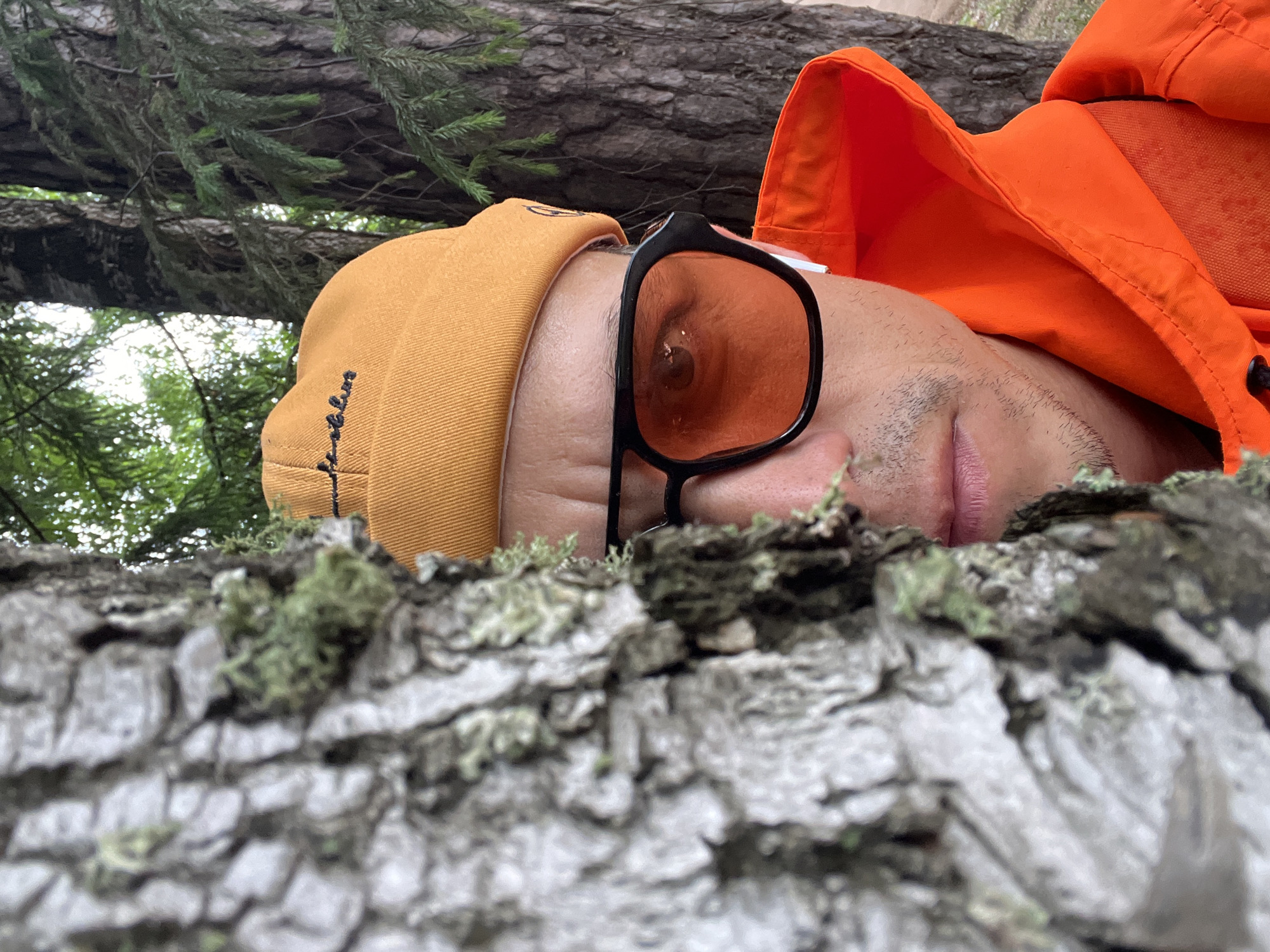 The image shows a first-person perspective of a person lying down, possibly in a forest, as indicated by the presence of trees and foliage. The subject is wearing an orange hooded jacket and a mustard-yellow beanie. They are also wearing black-framed glasses with orange lenses, through which one eye is visible. The foreground is dominated by a close-up view of tree bark, which is rough and textured, with some green moss growing on it. In the background, the trunk of a large tree is visible, with pine branches hanging down. The lighting suggests it is daytime, and the overall atmosphere appears to be outdoors and natural. There is no discernible text in the image.