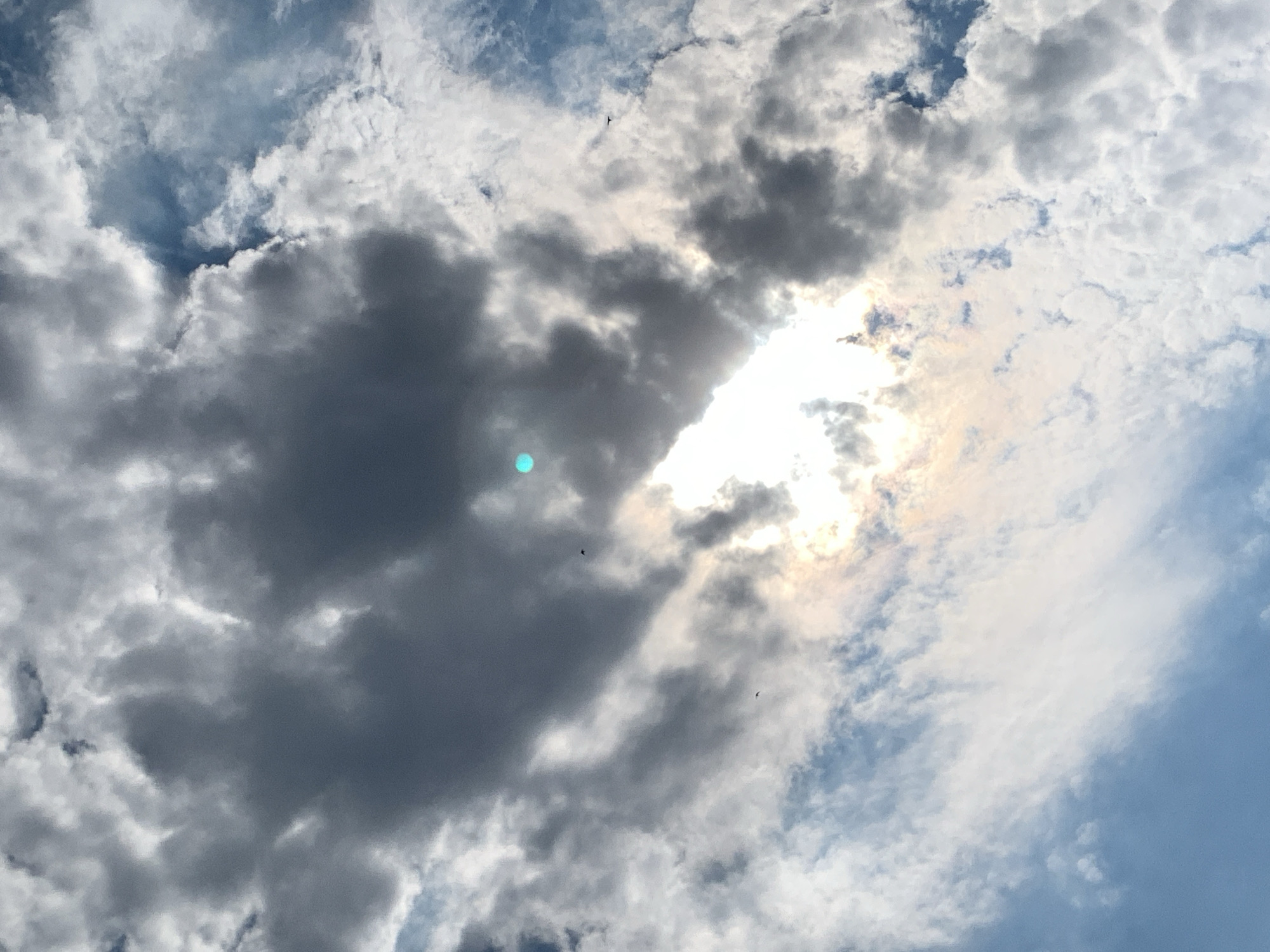 This is a low-angle, close-up shot of a partly cloudy sky. Dark gray storm clouds dominate the upper half of the frame, with a patch of bright sunlight breaking through from the lower center. The sunlight creates a lens flare effect that appears as a bright, hazy glow, tinged with yellow and pink. The lower part of the sky transitions to lighter, wispy white clouds against a clear blue background. Two small, dark, silhouetted birds are visible in flight, one in the upper right quadrant and another in the center left, both appearing to be in silhouette against the bright sky or the darker clouds. There is a small, distinct bright turquoise circular anomaly in the upper center portion of the frame, possibly a lens artifact. The image does not contain any identifiable landmarks or architectural features that would allow for pinpointing a location within Khazar Raion, Azerbaijan. The scene is natural and appears to be captured outdoors.