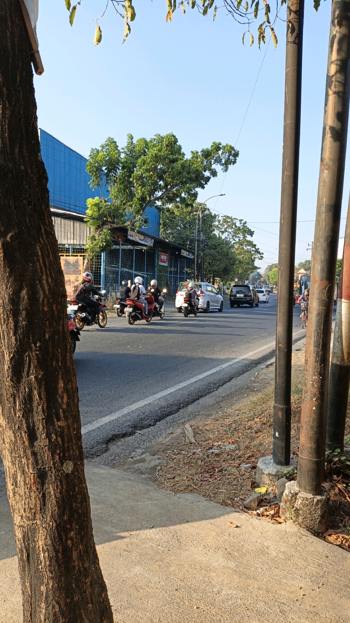 In Kuwasen, Indonesia, a busy street scene unfolds under a clear blue sky. The foreground is dominated by the rough, textured bark of a large tree on the left, casting a shadow across a concrete walkway. The street itself is paved and divided by a white line, with several motorcycles and a few cars navigating the traffic.
On the street, four motorcycles are visible, each with one or two riders. The first motorcycle, closest to the viewer, is red, with a rider wearing a white helmet and dark clothing. Behind it, another red motorcycle carries a rider with a white helmet and a white backpack. Further down the road, a third motorcycle is red, with a rider in a white helmet. The fourth motorcycle is dark-colored, with a rider in a white helmet and dark jacket.
A white car is also present on the road, its rear facing the viewer. Further down the street, a black SUV is driving away from the viewer. In the distance, more vehicles can be seen, suggesting continuous traffic flow.
To the left of the street, a long, low building with a bright blue facade and metal siding is visible. Trees with lush green foliage surround the building, and a few more trees are scattered along the roadside. Several dark, vertical poles stand near the edge of the road, appearing to be utility poles. The ground beside the road is covered with dry leaves and debris. The overall impression is a snapshot of a typical day on a moderately trafficked street in Indonesia, bathed in the warm light of the sun.