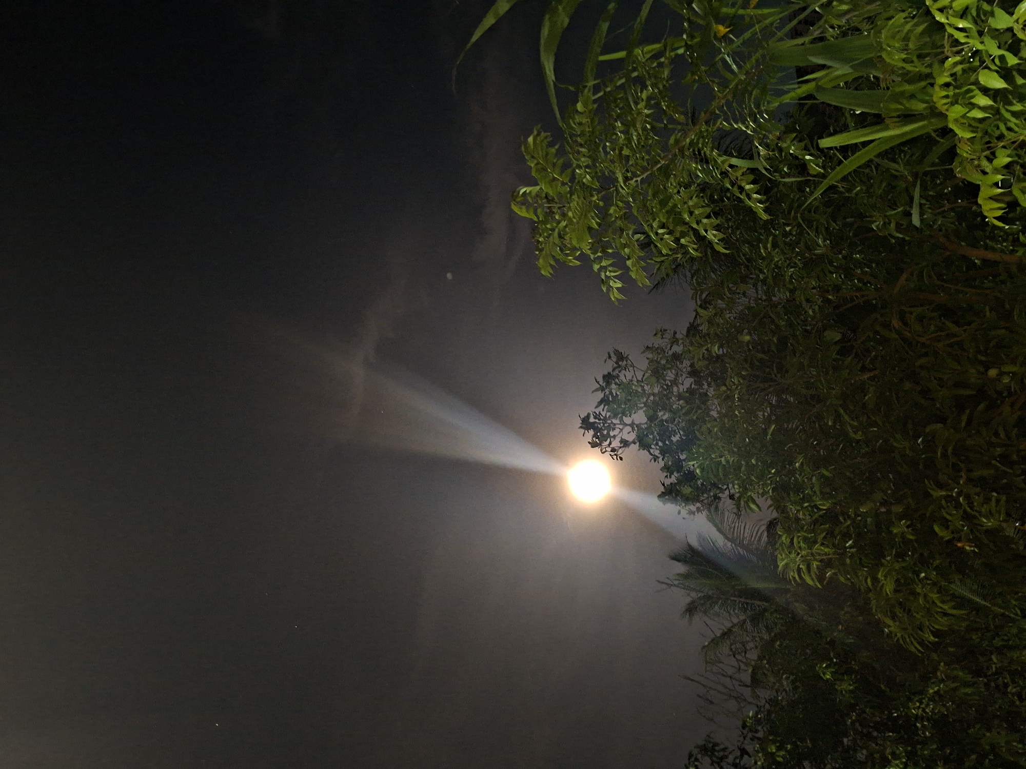 The image shows a night scene with a bright light source, likely the moon, shining through a cloudy sky. The light creates a visible beam effect. Lush green foliage, possibly from trees or bushes, occupies the right side of the frame and obscures part of the light. The location is Kutaglumpang, Indonesia.