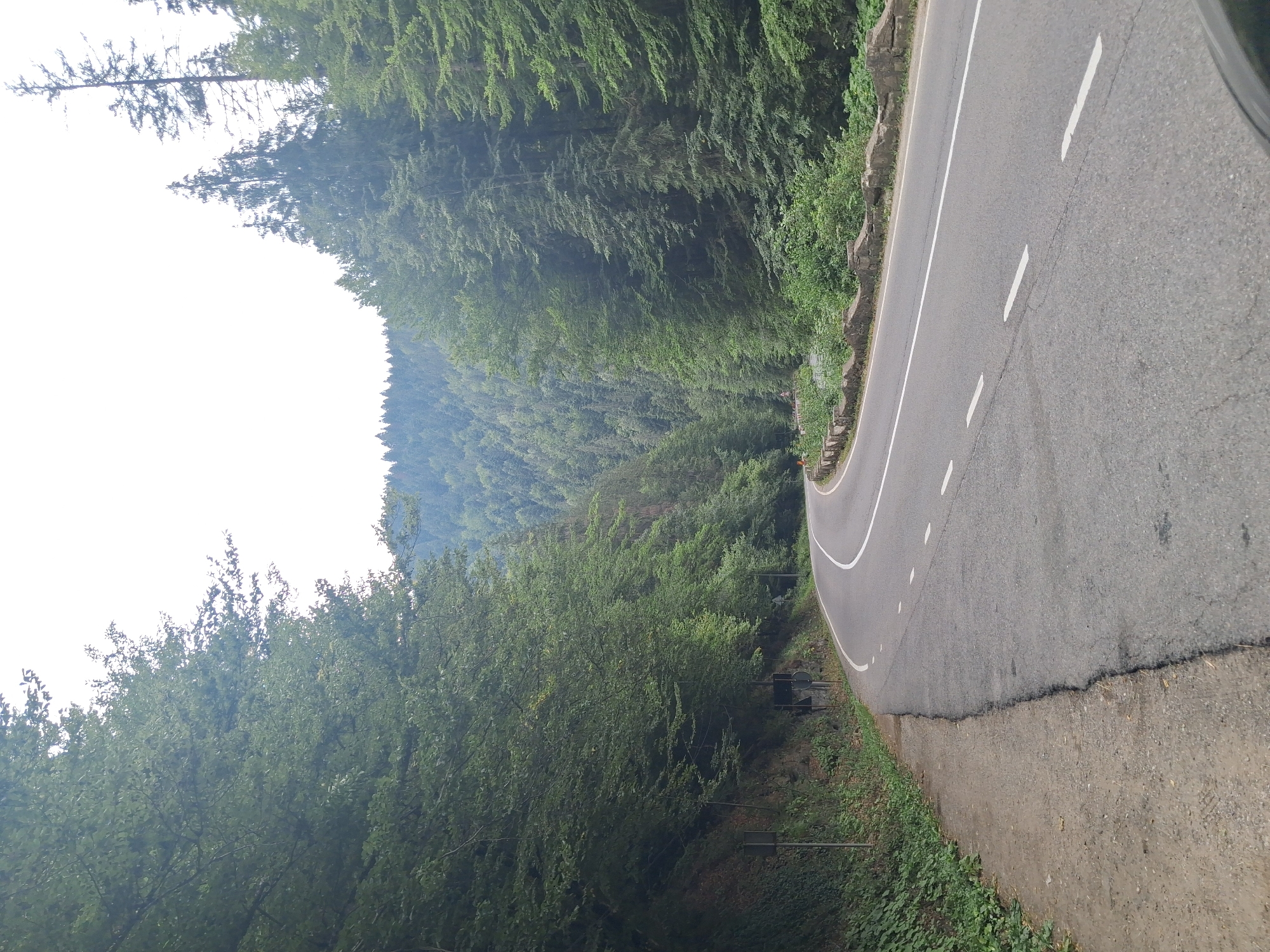 The image shows a winding asphalt road bordered by lush green trees on both sides, leading through a mountainous forest. The road has white dashed lines indicating lanes. On the left side of the road, there is a dirt and gravel shoulder with some vegetation and a stone retaining wall. On the right side, there is a low stone wall separating the road from a dense forest that covers the hillside. The sky is overcast and bright. The scene is serene and appears to be in a natural, undeveloped area. This road is likely the DN17 national road in the Bicaz-Chei commune of Neamț County, Romania, known for its scenic mountain passes and forested landscape. There are no people or vehicles visible in the image.