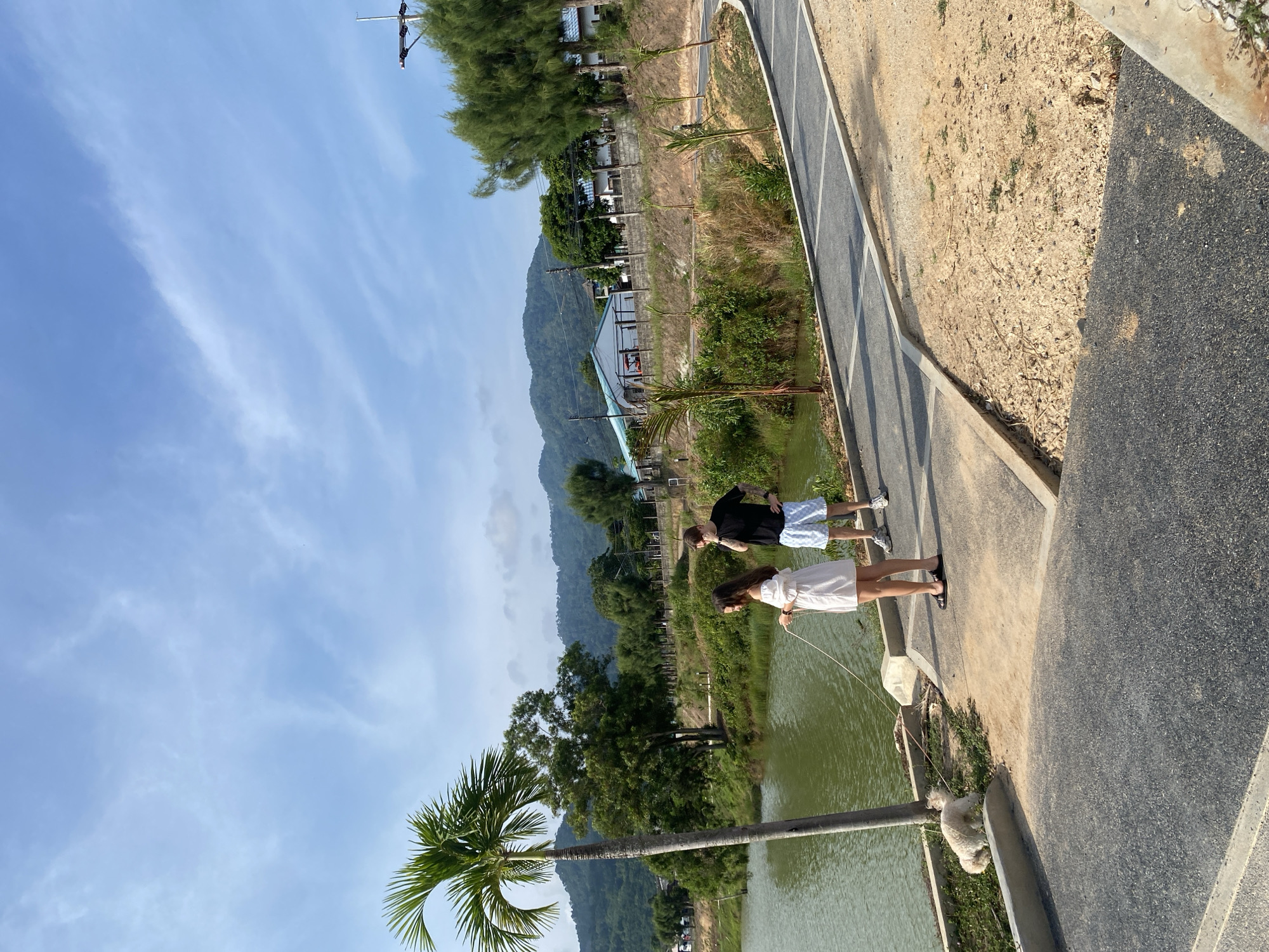 The image captures a serene outdoor scene, likely in a tropical environment. In the foreground, a paved path or road, light grey with distinct darker stripes, runs along the right side. This path is bordered by a concrete curb, beyond which lies a strip of dirt and grass, and then a calm, greenish body of water, possibly a canal or pond.
Two individuals are present on the paved path near the water. A man, wearing a dark t-shirt and light-colored checkered shorts, stands towards the left of the path. Beside him, a woman in a white dress stands facing generally towards the left, looking out over the water. A light-colored dog is seated or lying on the dirt area beside the water, close to the woman. A thin rope or leash is visible near the dog, extending towards the woman's hands.
Beyond the water, the landscape is densely covered with lush green trees, including several tall palm trees. In the background, majestic, forested mountains rise under a clear, bright blue sky with sparse, wispy white clouds. Some distant buildings are partially visible nestled among the trees.
The activity suggests a leisurely outing, with the people and dog enjoying the peaceful scenery by the water. The bright lighting indicates it is daytime, likely late morning or afternoon. The overall impression is one of tranquility in a natural, tropical setting, consistent with the location context of Choeng Thale, Thailand. No visible text is present in the image.
