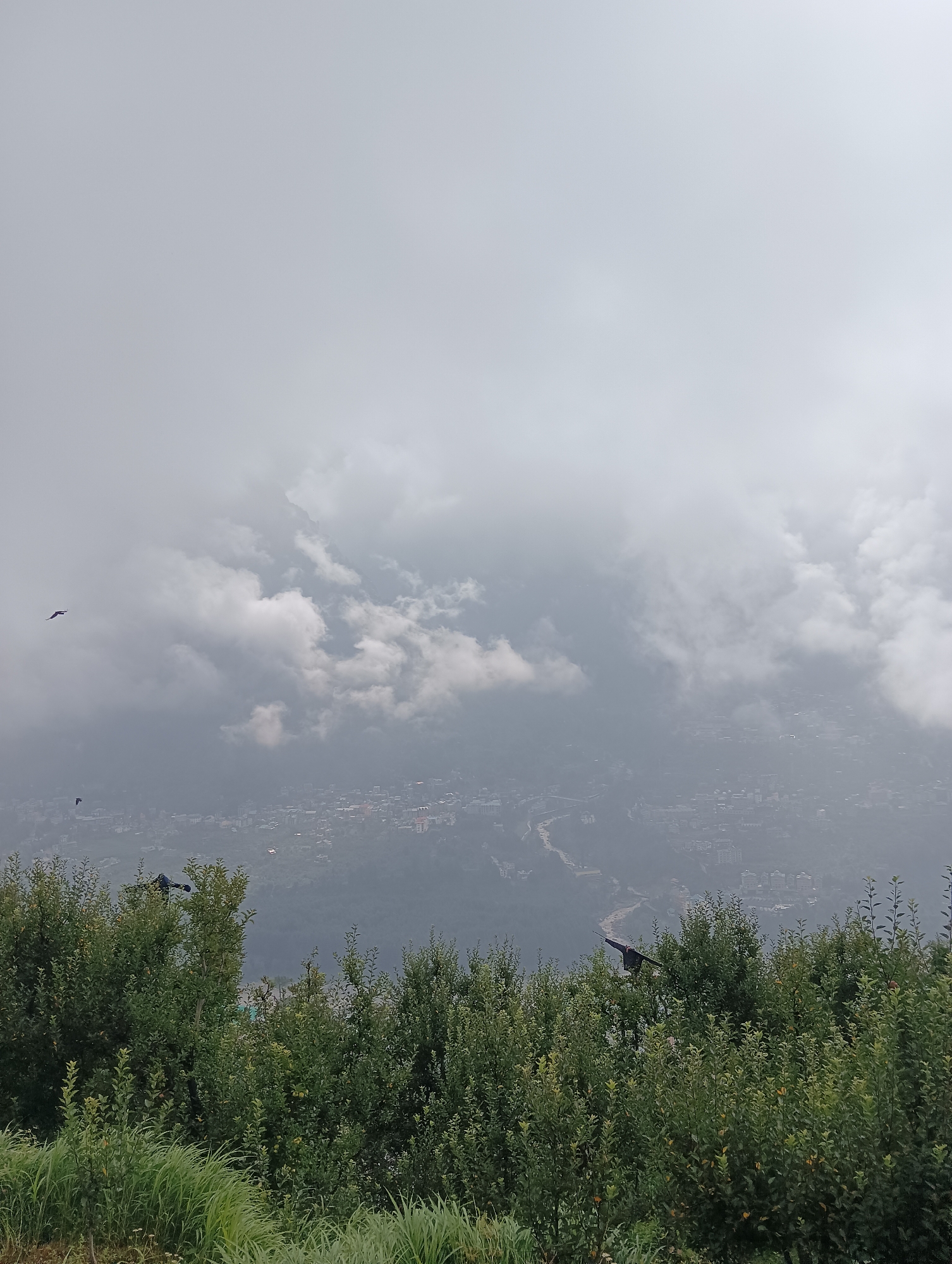 The image captures a misty, overcast view of the city of Siumsa, India, as seen from a hilltop. In the foreground, lush green foliage, including trees and grass, fills the bottom portion of the frame. Beyond the greenery, the city of Siumsa unfolds, partially obscured by a thick layer of clouds and mist, giving it a diffused and ethereal appearance. Buildings of various sizes and structures are visible, interspersed with roads and what appears to be a river or waterway winding through the urban landscape. Several birds are seen flying in the sky amidst the clouds and over the city. The overall atmosphere is serene and somewhat melancholic due to the cloudy weather.