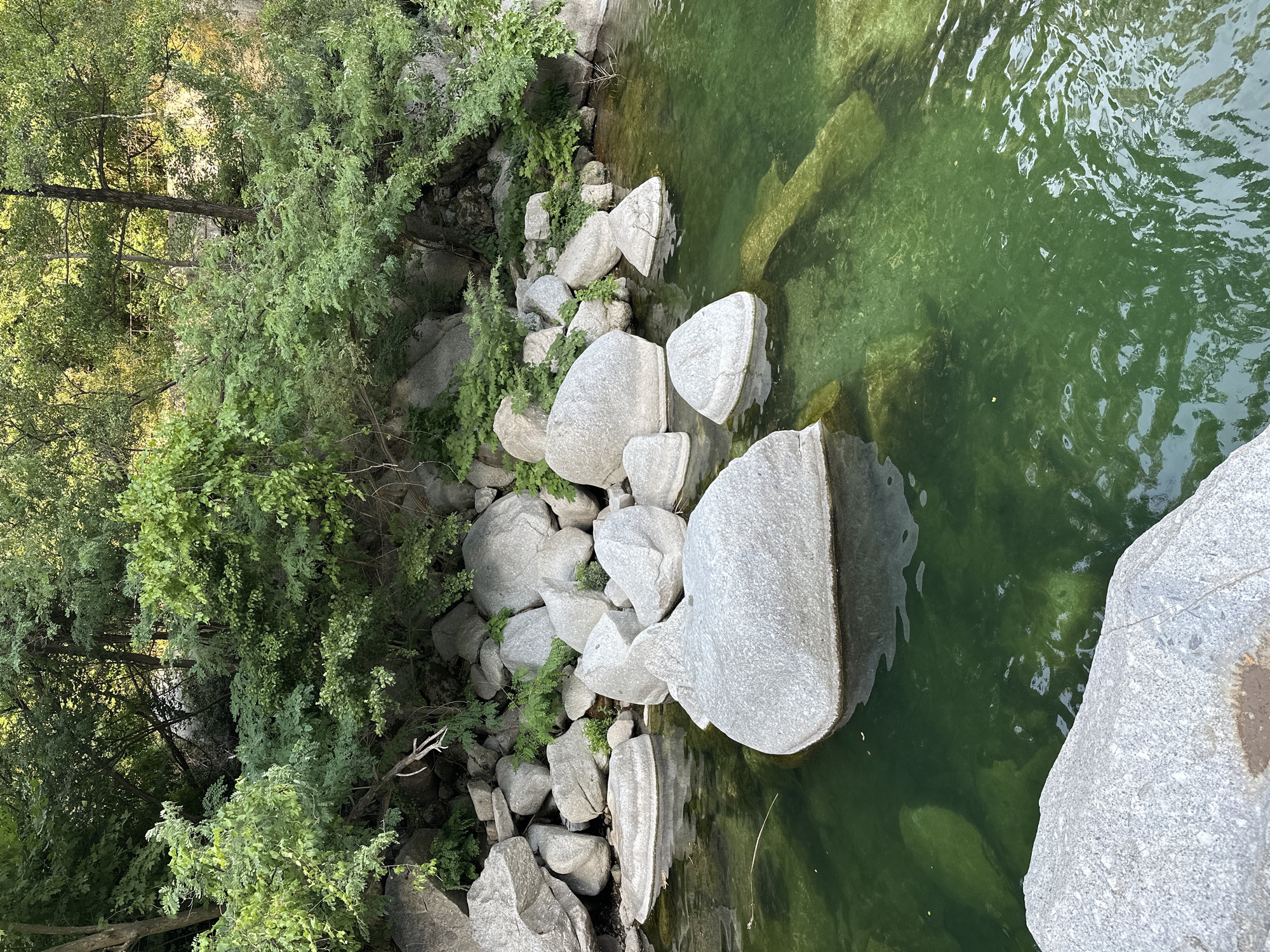 The image shows a rocky riverbank with lush green trees overhanging the water. The water is a clear, vibrant green, with light reflecting off its surface. Large, smooth gray boulders are scattered along the edge of the water, some partially submerged. Small green plants and moss grow between the rocks. In the background, more trees and rocks are visible, creating a natural, somewhat wild environment. The scene appears tranquil and serene. The lighting suggests it is daytime, possibly late morning or afternoon, with sunlight filtering through the leaves and dappling the water. There is no visible text in the image.