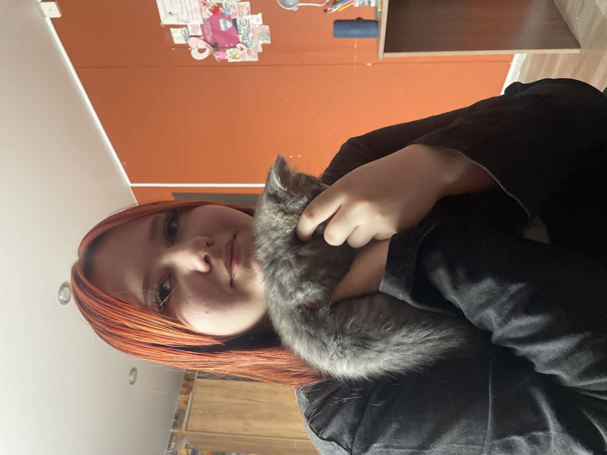 A young person with bright orange hair is holding a small, grey kitten. The person is wearing a dark, long-sleeved shirt and is looking towards the camera. The kitten is nestled in the person's arms and appears to be sleeping or resting. The background is a room with orange walls and wooden furniture. On the wall, there are several colorful decorations, including stickers and a pink heart-shaped cutout. A wooden cabinet is visible on the left side of the image, and a desk with a blue cylindrical object and art supplies is on the right. The lighting suggests an indoor environment, possibly a bedroom or study. This scene is located in the village of Medvodevo, Russia.