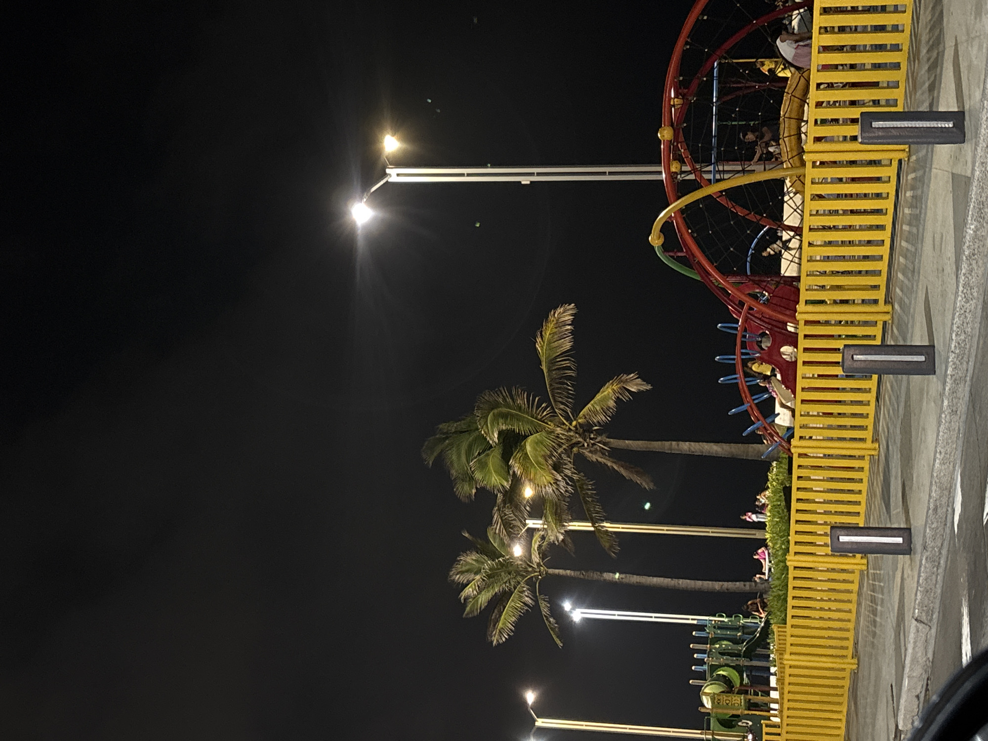 At night in Veracruz City, Mexico, a playground is illuminated by tall streetlights. Two palm trees stand between the streetlights, their fronds partially lit. A tall, circular climbing structure with red and yellow metal and rope netting is occupied by several people. A bright yellow barrier separates the playground area from the pavement. The scene suggests public space intended for children's recreation, captured at nighttime.