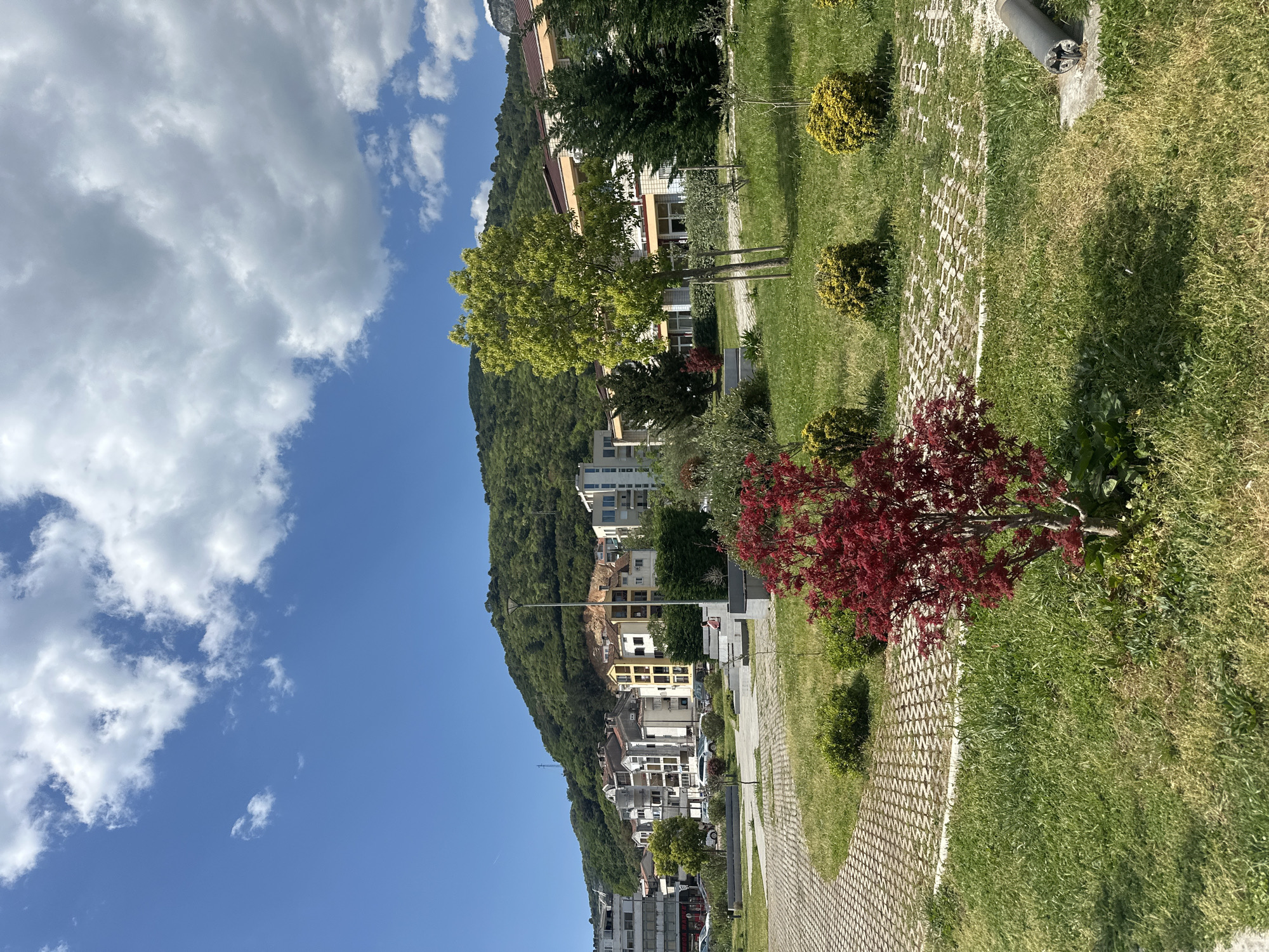 This image presents a serene daytime landscape of a town nestled at the base of a large, green mountain, likely Budva, Montenegro, under a clear blue sky.
In the foreground, a landscaped green space occupies the right side of the frame. It features a winding pathway made of light-colored, patterned pavers, possibly grass pavers, cutting through well-maintained green grass. A prominent tree with vibrant red leaves stands out in the lower right, contrasting with the surrounding greenery. Several rounded, yellow-green shrubs are scattered across the lawn, along with a few taller green trees. Towards the upper right of this green area, a grey cylindrical object, possibly a utility pipe or a broken light pole base, rests on a small concrete slab.
The midground reveals a residential area composed of numerous multi-story buildings, including apartments and houses. These structures, in shades of white, cream, and yellow, are built along the lower slopes and base of the mountain. A street or road runs in front of these buildings, with several parked cars visible.
The background is dominated by a majestic, steep mountain, densely covered in lush green trees and foliage, rising high behind the town. The sky above is a bright, clear blue, adorned with scattered white cumulus clouds, indicating sunny and fair weather.
The scene conveys a sense of peaceful urban living integrated with nature. No people are visible, and no specific events or activities are occurring. There is no visible text in the image.