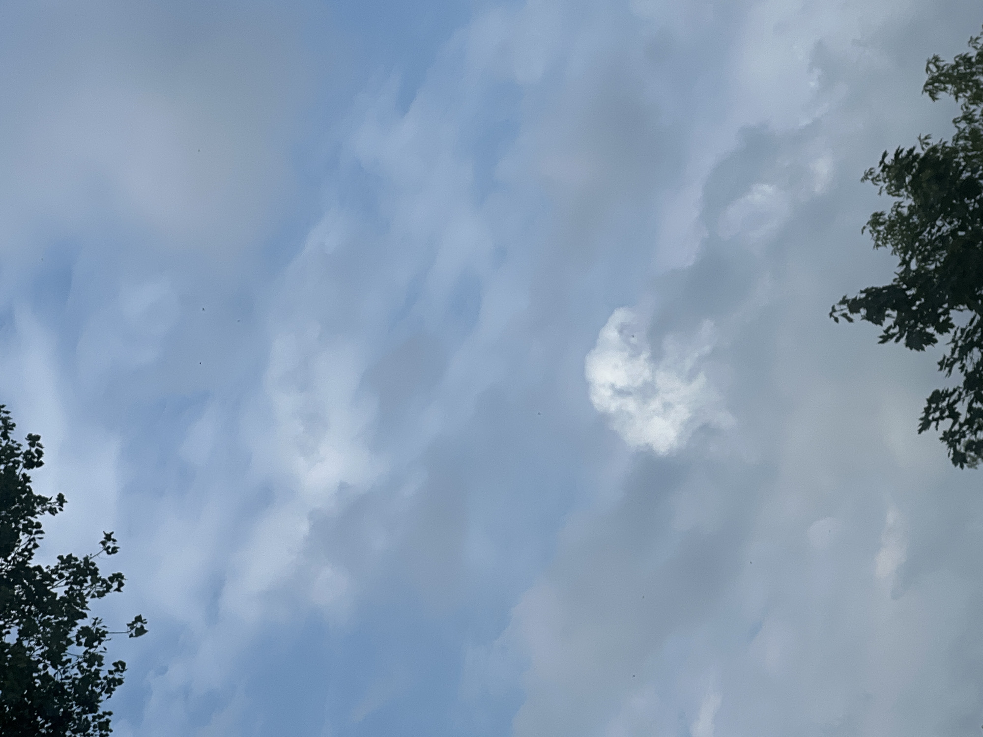The image shows a partly cloudy sky over a city. The clouds are a mix of white and gray, and the sky is a pale blue. In the foreground, there are trees with dark green leaves. The image is taken from a low angle, looking up at the sky. There are no people or specific landmarks visible in the image that would allow for definitive identification of a city or its location within Warsaw, Poland.