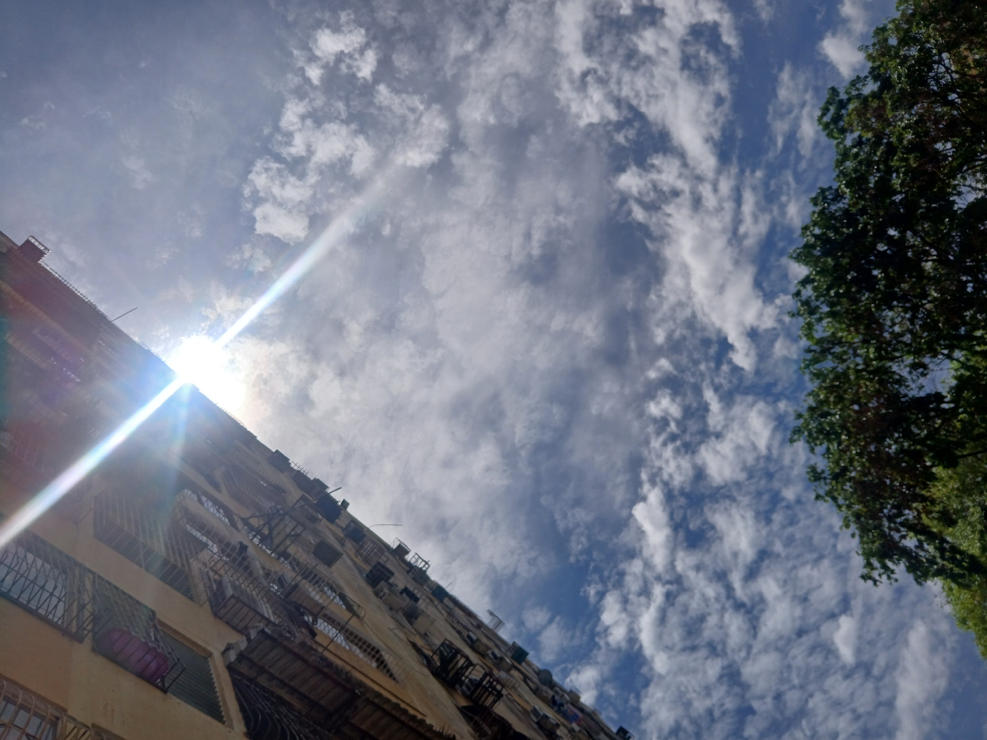 The image, taken from a low angle, shows a building with a light yellow facade in Ciudad Guayana, Venezuela. The building has multiple windows, some with security bars and possible window boxes. Fire escapes are visible. The sun, positioned near the top left, casts a glare across the frame. Above the building, a partially cloudy sky is seen. To the right, a tree's leafy branches frame the upper right corner. The scene appears to be a typical urban landscape.