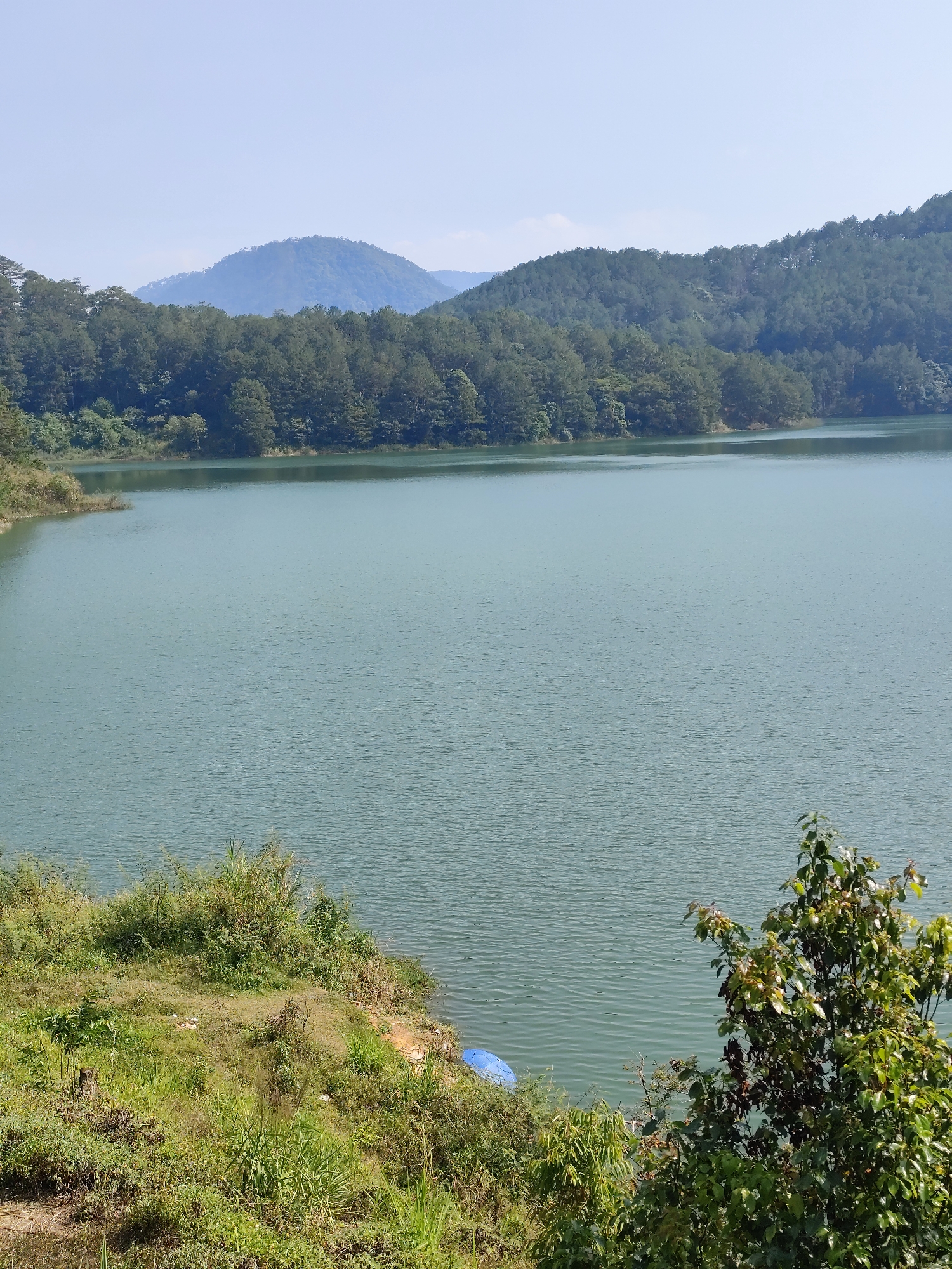 The image presents a broad view of Tuyen Lam Lake in Da Lat, Vietnam. The lake, occupying the majority of the frame, is a pale turquoise-green, with gentle ripples across its surface. The foreground is dominated by lush vegetation, with grasses, shrubs, and a leafy tree in the lower right. In the mid-ground, the lake is bordered by tree-covered hills. A distant mountain range with soft blue hues is visible in the background under a clear, light blue sky. A small, blue object is visible on the shoreline.