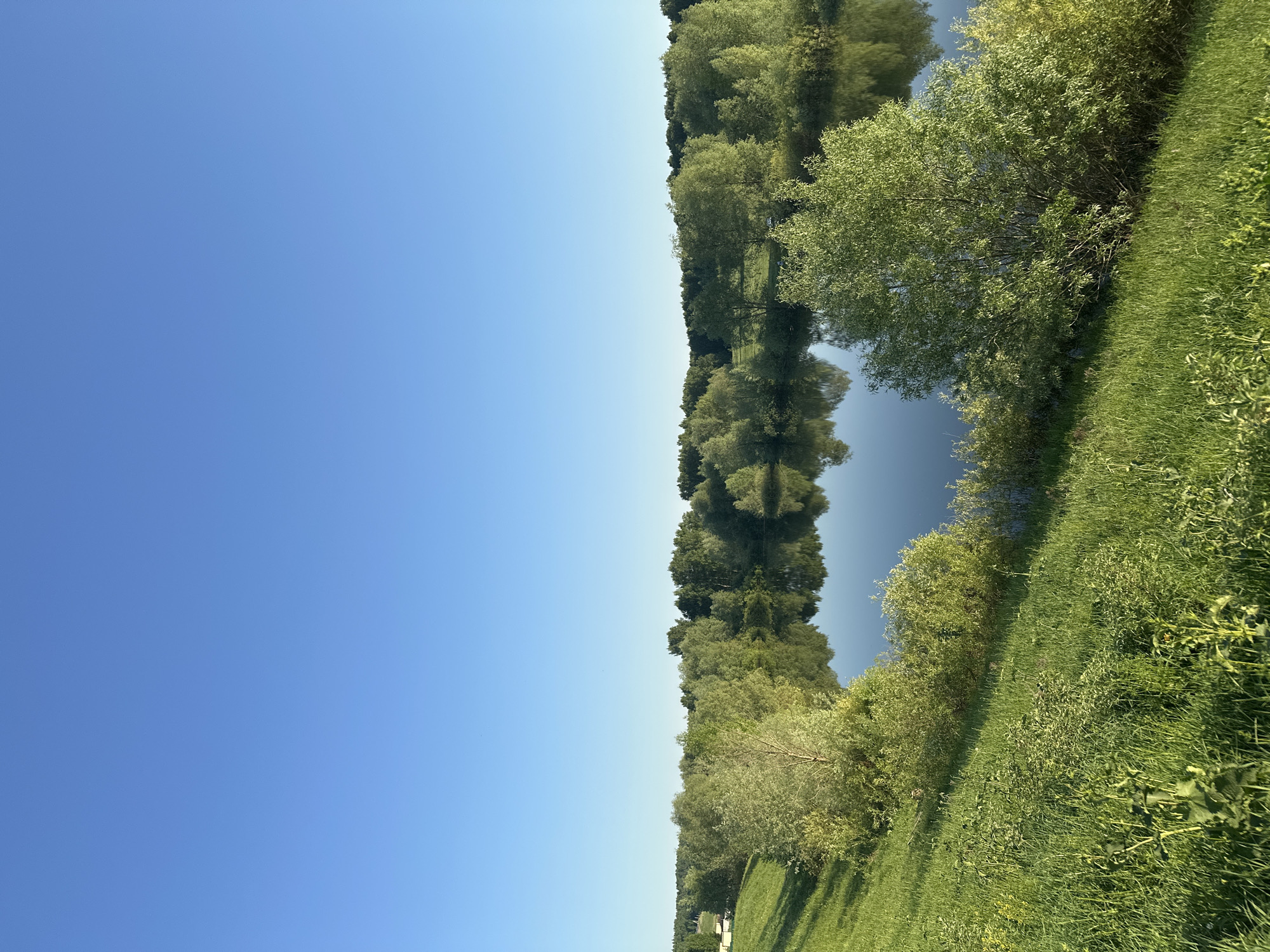 The image depicts a landscape in Эстачи, Russia. A clear, bright blue sky occupies the left half of the frame. The right half shows a body of water, likely a lake or wide river, reflecting the trees along its bank. The vegetation consists of dense green trees and bushes along the shoreline. A grassy area extends from the lower right corner, filled with green grass and occasional weeds. No people, specific objects, or interactions are visible.