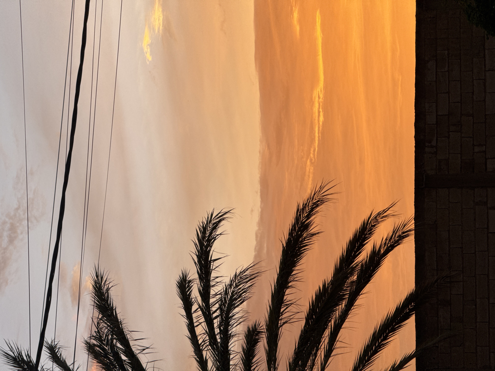 This is a photograph of a sunset over El Espinal, Venezuela. A silhouetted palm tree frond is in the foreground, to the left of the frame. The frond is dark and feathery, with long, thin leaves. Behind the palm frond, the sky is a vibrant gradient of orange and pink hues, with streaks of white clouds scattered throughout. Several power lines stretch horizontally across the upper portion of the image. At the bottom of the frame, a dark, textured wall, likely made of cinder blocks, runs horizontally. The overall mood of the image is serene and tranquil, capturing the beauty of a tropical sunset.