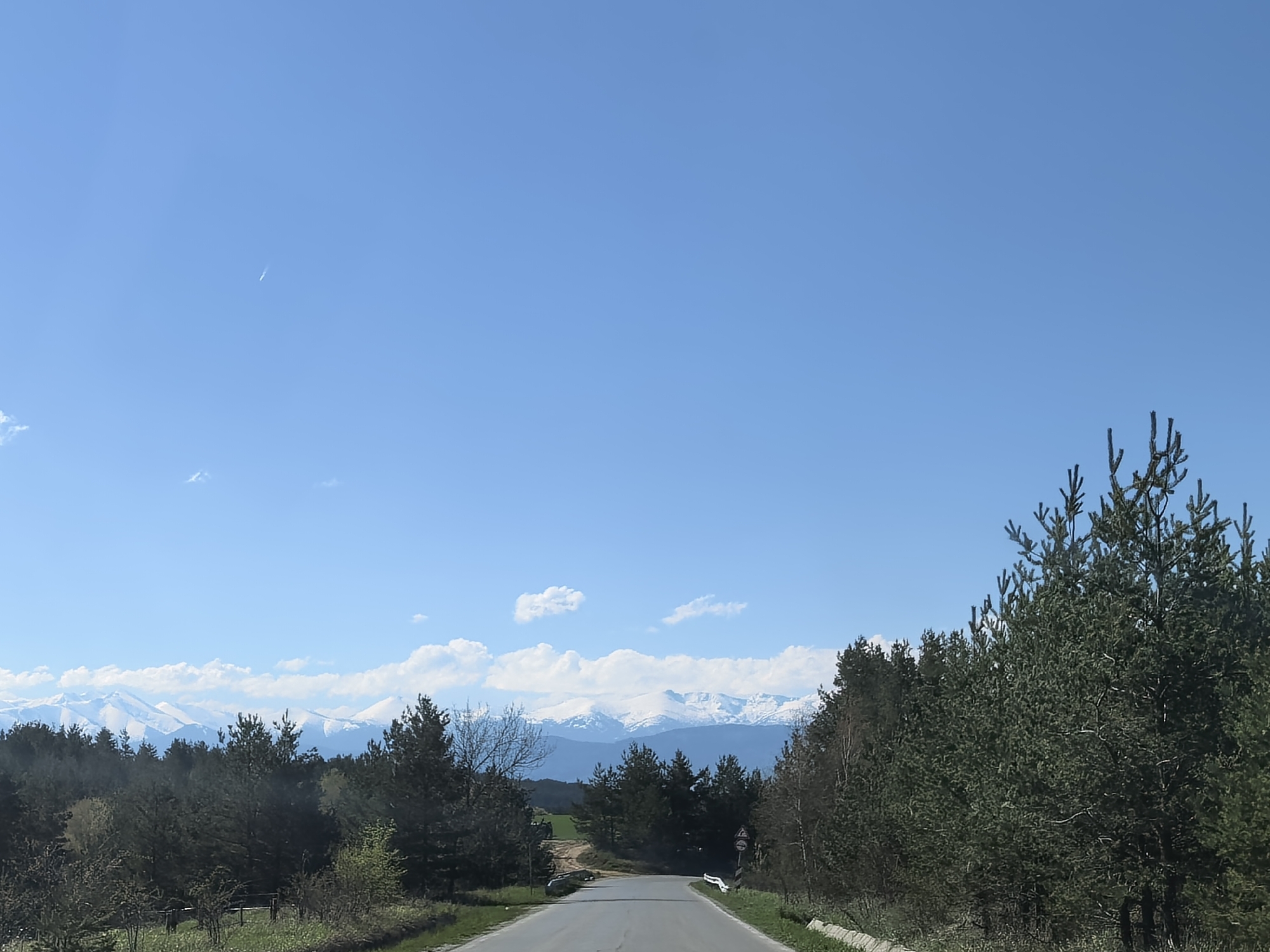 The image depicts a straight asphalt road leading into a slight curve, flanked by trees on both sides, under a clear blue sky with a few scattered clouds. In the distance, a range of snow-capped mountains is visible. The scene is set near Kovachevtsi, Bulgaria. There are no people visible in the frame. The road appears to be lightly traveled. A roadside sign is visible on the right side of the road.