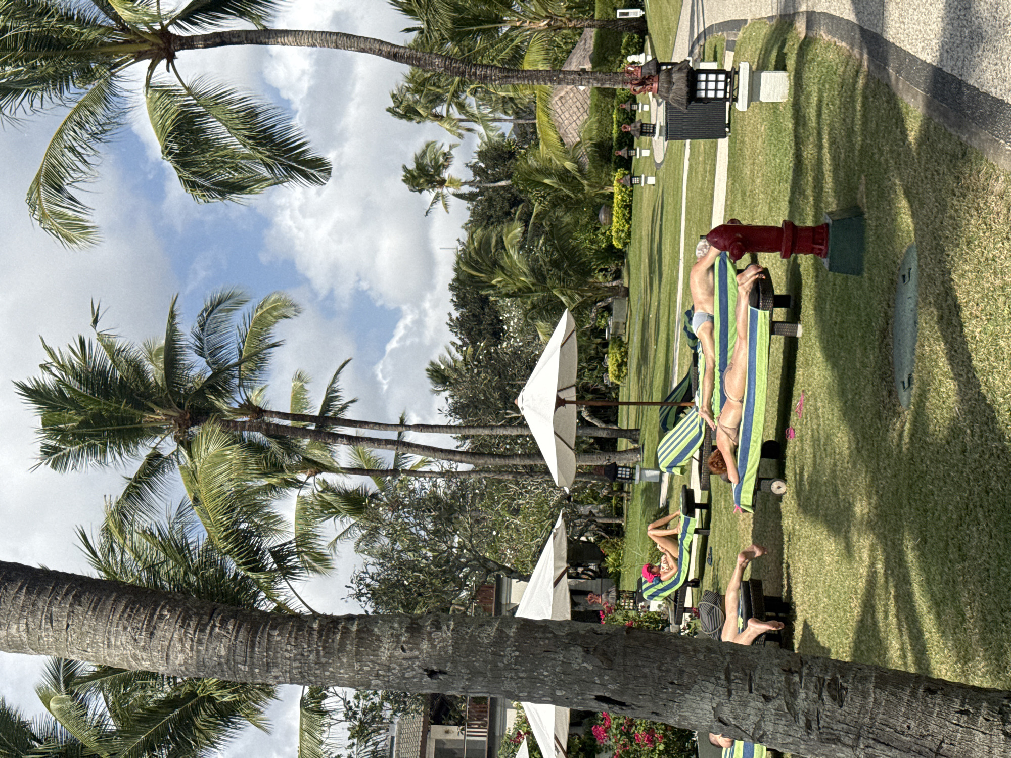 This image captures a sunny day scene at a resort in Kuta Selatan, Indonesia, likely a swimming pool area. Several individuals are relaxing on lounge chairs placed on a well-maintained grassy lawn. A prominent palm tree trunk is in the foreground on the left, casting shadows on the grass. In the midground, there are multiple lounge chairs with people sunbathing. One person is wearing a pink headscarf. White umbrellas are set up, providing shade. In the background, lush green trees and tropical foliage are visible, along with a building. Decorative lanterns and a red fire hydrant are also present on the lawn. The sky is blue with scattered white clouds. The overall atmosphere suggests a tropical holiday or vacation setting.