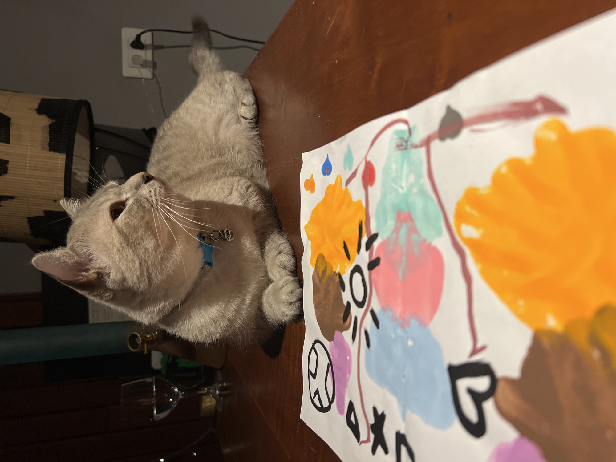 A light brown cat with a blue collar sits on a wooden surface next to a child's painting. The cat is looking to the right, with its paws tucked underneath. The painting features colorful splotches of paint, including orange, blue, pink, and brown, as well as black drawings of hearts and other shapes. In the background, a wine glass filled with water and a lampshade are visible. The scene appears to be indoors, possibly in a home.