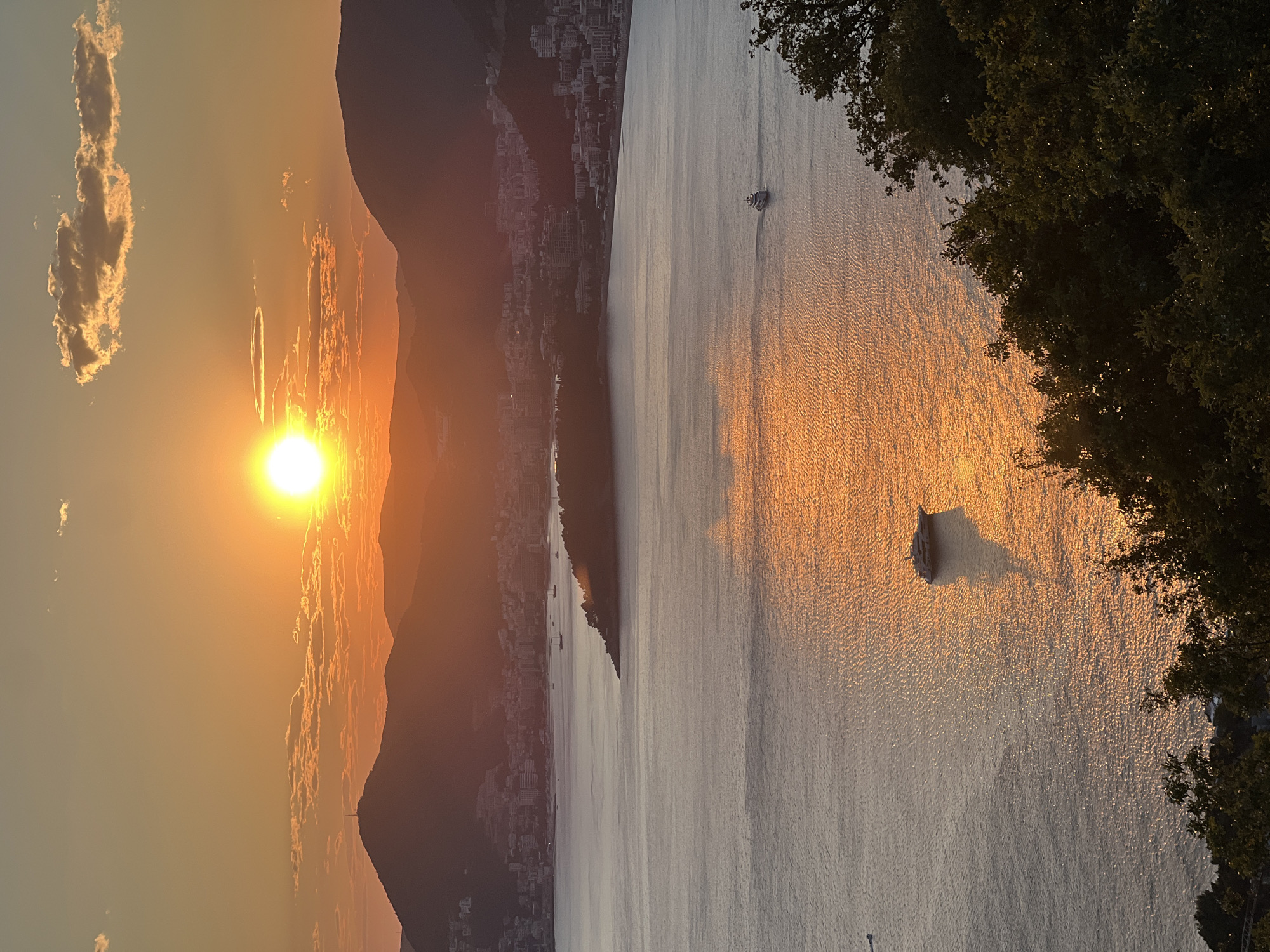 The image captures a sunset over the Bay of Kotor, Montenegro, possibly taken from near or in the Čelobrdo area. The sun is setting behind mountains on the left, casting a golden glow on the water. Clouds near the sun are illuminated. A city or town is visible along the coastline on the other side of the bay. Several boats are on the water, their shadows stretching across the bay's surface. The right side of the image is partially obscured by the branches and leaves of a tree.