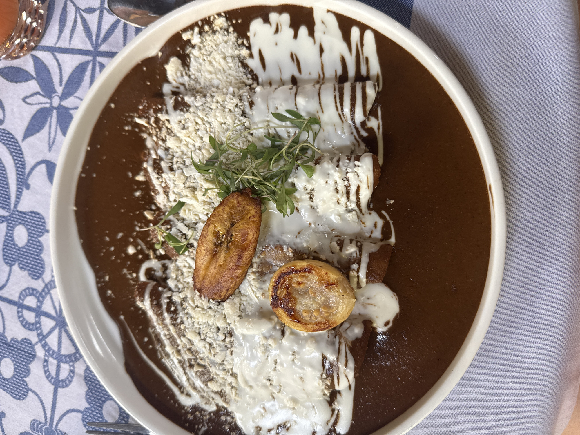 A top-down, eye-level shot shows a plate of enchiladas mole on a tablecloth. The tablecloth is patterned with blue designs. The plate is white with a rim. The enchiladas are covered in a brown mole sauce and topped with a white, creamy sauce drizzled in lines. Sprinkled shredded cheese is visible on one side. Two fried plantains sit on the side. A sprig of green herbs adds a pop of color. The scene is indoors. The image location is Xochitepec, Mexico.