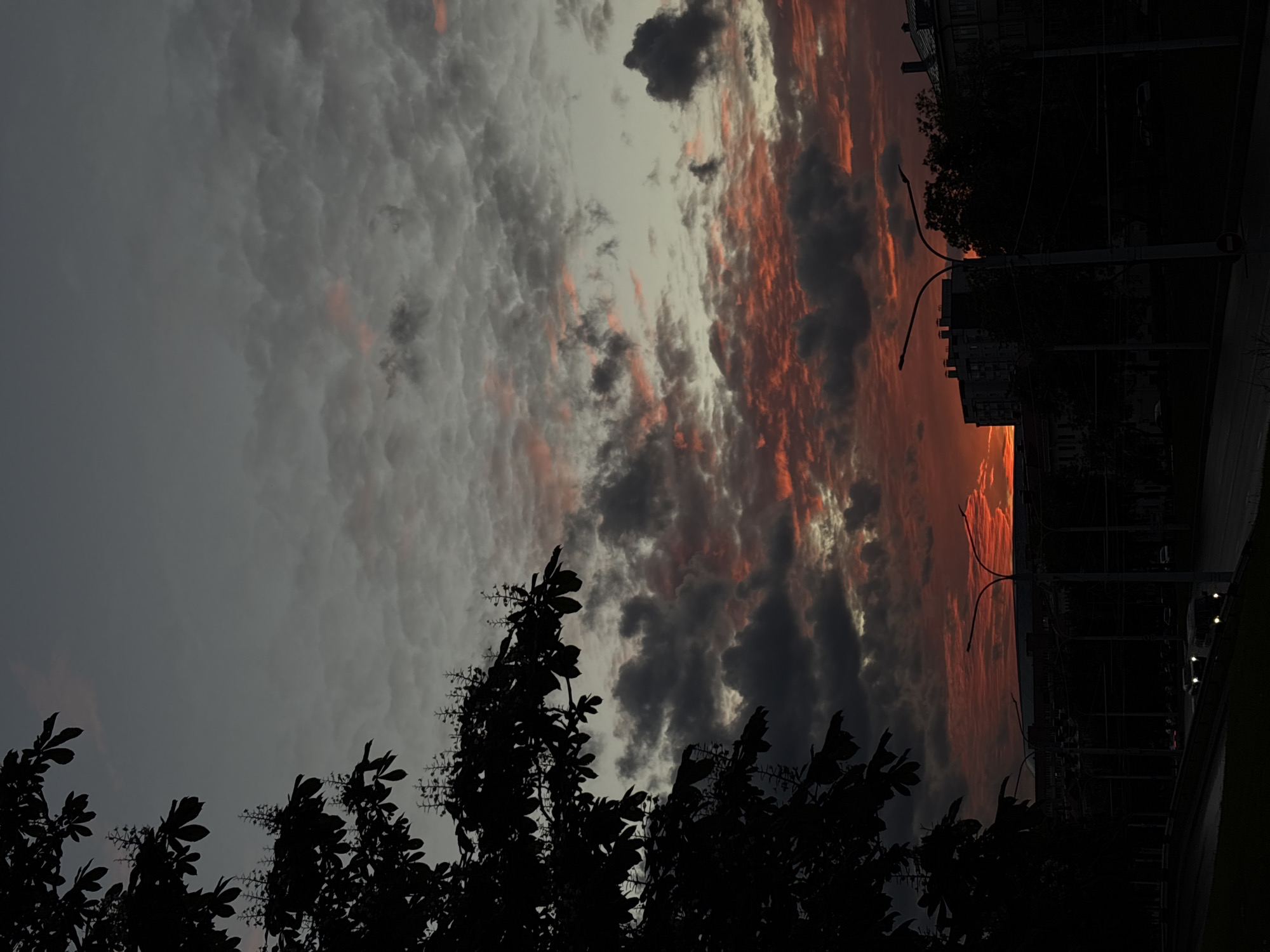 A photograph taken in Minsk, Belarus, shows a dusk or dawn sky. The sky is filled with clouds in varying shades of gray, and orange. In the foreground, the silhouette of a tree with leaves and blossoms is visible. Behind the tree and to the right, there are street lamps and the silhouette of a building, indicating an urban setting. The sky is the main focus. The street lamps and building are silhouetted against the sky. The photograph appears to have been taken at ground level, looking upwards.