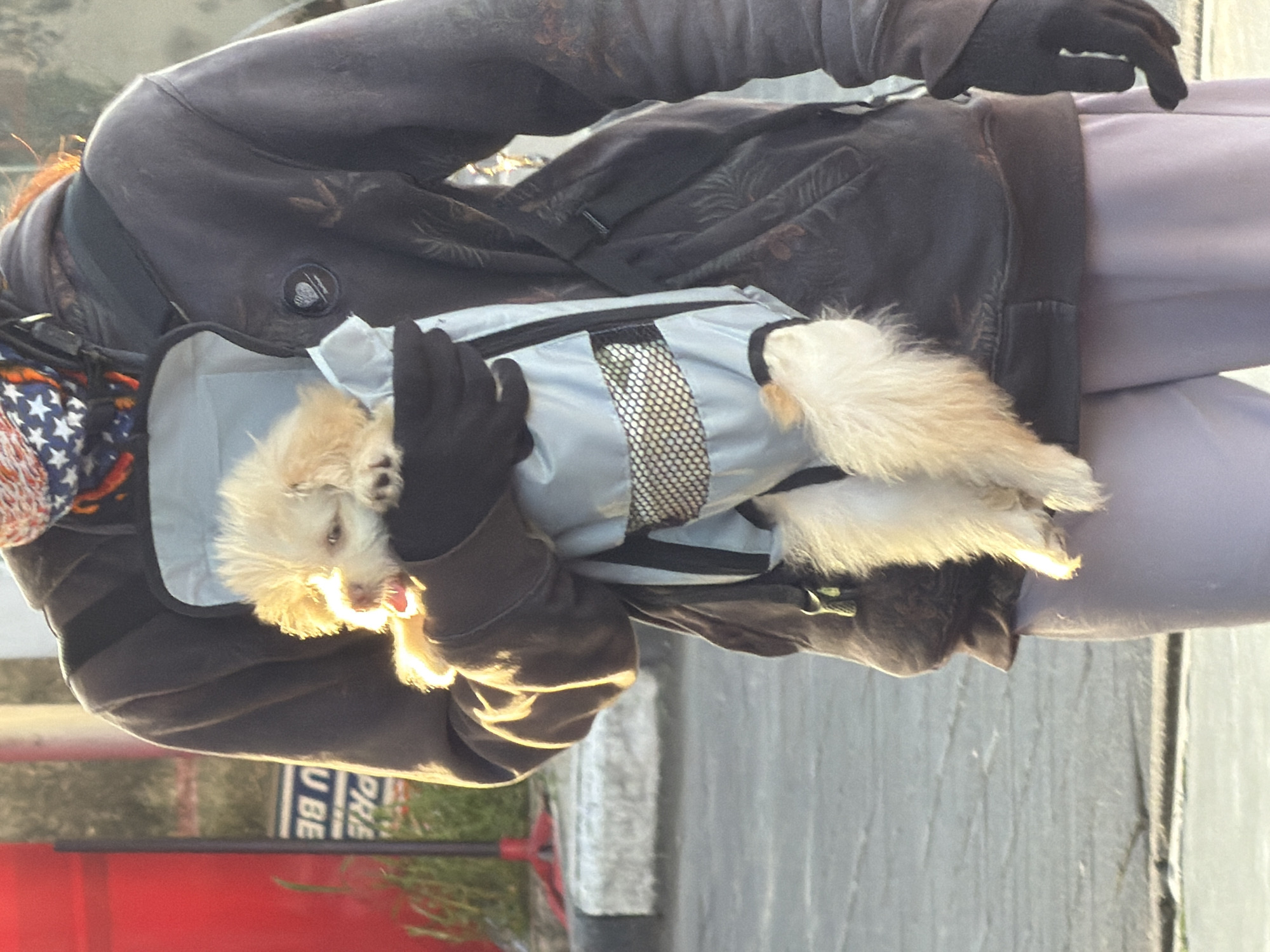 A person wearing a black floral jacket, light gray pants, and black gloves is holding a small, cream-colored dog in a light blue carrier. The carrier has black straps and a mesh front. The person's left hand, covered in a black glove, rests gently on the dog. In the background, there is a blurred red and white object and greenery, suggesting an outdoor location. This image was taken in Mengwi, Indonesia.