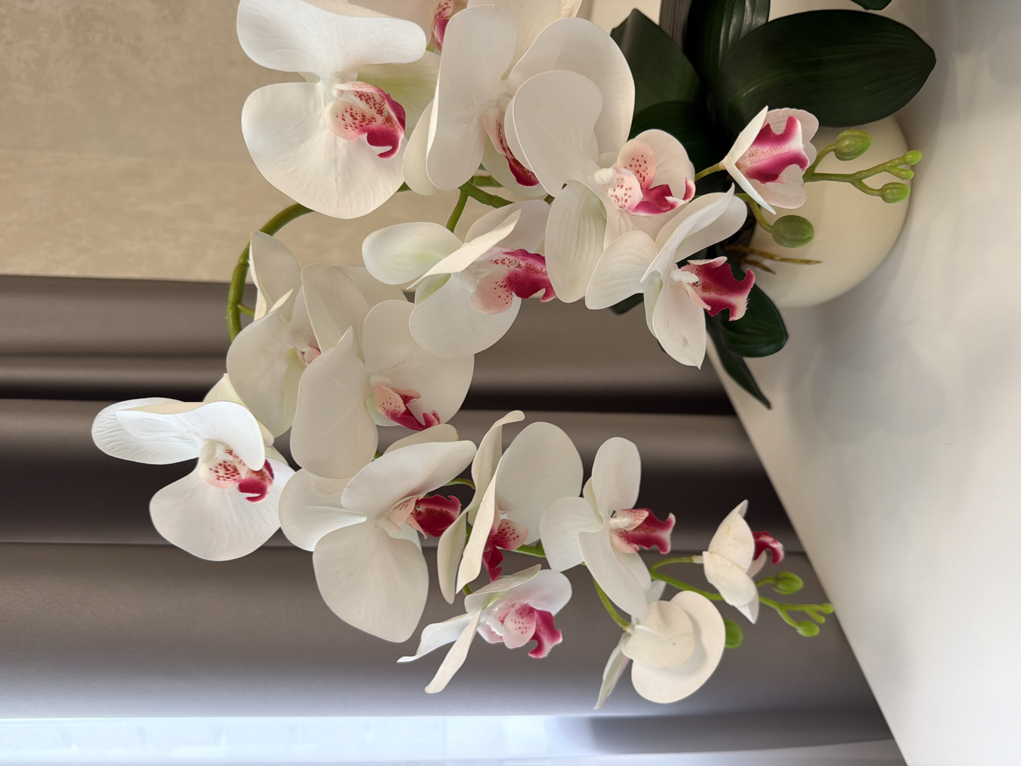 A close-up, eye-level shot focuses on a white artificial orchid arrangement with pink and red accents on its petals, set against a neutral background. The orchid stems curve gracefully downwards, with several blooms and buds visible. The flowers are detailed, showing the texture and delicate veining of the petals. Dark green leaves emerge from behind the arrangement, and the orchids are housed in a smooth, cream-colored pot. The pot sits on a white surface, possibly a table or shelf. To the left of the arrangement, a light-colored curtain with vertical folds is partially visible, suggesting an indoor setting, possibly a home or office. The lighting is soft and diffused, creating subtle shadows and highlighting the textures of the flowers and pot. The scene is static and appears to be a decorative display.