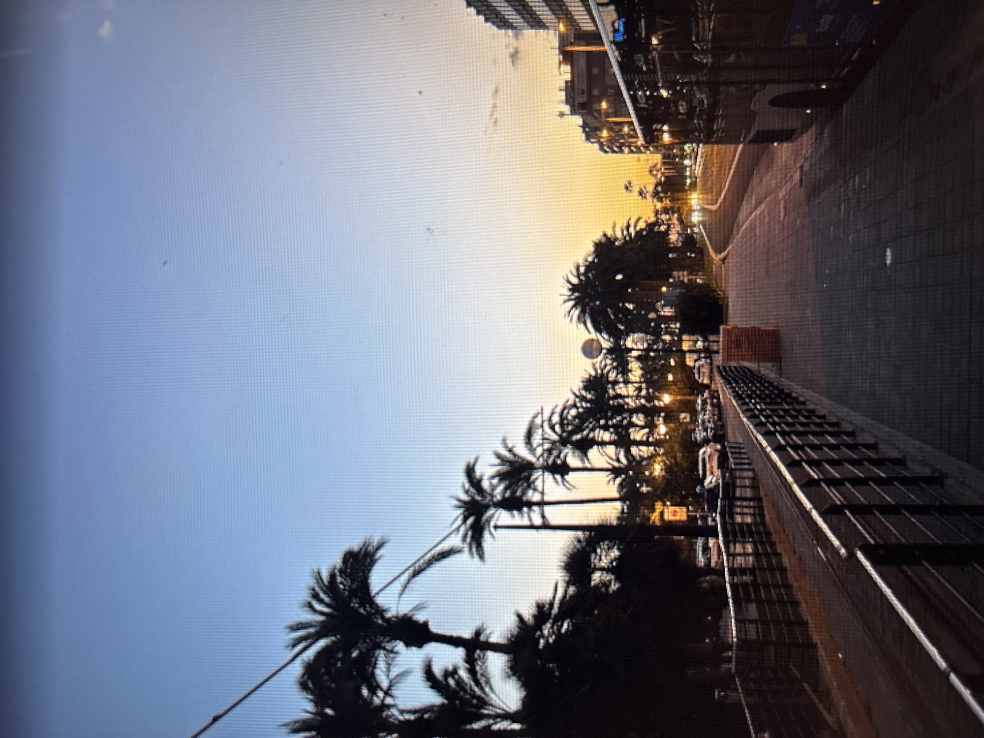 This is a photograph of a city street scene at dusk, likely in Sofia, Bulgaria. The sky transitions from a clear blue at the top to a warm orange and yellow gradient near the horizon. A row of silhouetted palm trees lines the left side of the street, their fronds stark against the evening sky. The street itself appears to have tram tracks running along the left side, separated from the sidewalk by a metal railing.
On the right side of the image, a sidewalk paved with interlocking bricks leads towards a large, dark-colored bus. The bus is positioned on the right edge of the frame, and its windows reflect the ambient light. Beyond the sidewalk, a road is visible with car headlights illuminating the distance, suggesting active traffic. Buildings are visible in the background on the right, with lights on in some of their windows. The overall impression is a calm, urban setting transitioning from day to night. There are no people clearly visible in the frame.