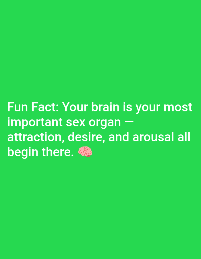 This is a photograph of a bright green background with white text and a small brain emoji. The text reads: "Fun Fact: Your brain is your most important sex organ - attraction, desire, and arousal all begin there." The brain emoji is located to the right of the word "there". The image appears to be a digital graphic, possibly for social media or a website, conveying a piece of information. There are no people, objects, or scene details visible beyond the text and emoji. The context of Lagos, Nigeria is not discernible from the image itself.