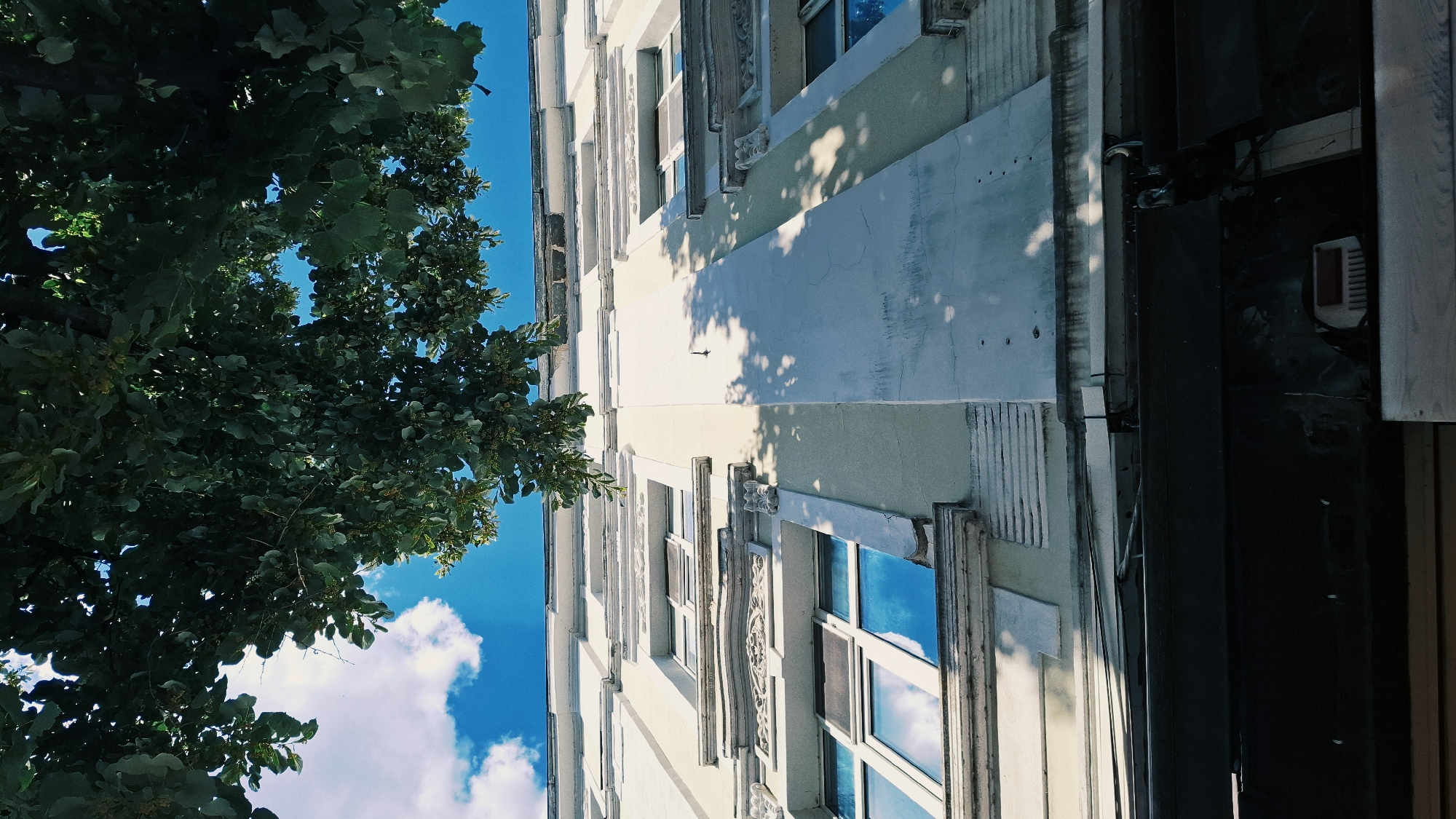 The image depicts an exterior view of a building facade with intricate architectural details, set against a bright blue sky with scattered white clouds. The perspective is low-angle, looking upwards, with the foliage of a lush green tree dominating the left side of the frame. The building is tall and appears to be made of light-colored material, possibly stucco, with several windows visible. These windows are framed by decorative elements, suggesting an older or classical architectural style. Some windows reflect the blue sky and clouds. Shadows of leaves and branches from the tree are cast onto the building's facade, indicating it is daytime. The right side of the image shows a dark section, possibly an entrance or a different part of the building, with some visible fixtures. The overall scene evokes a sense of a sunny day in an urban environment, likely in Plovdiv, Bulgaria, given the location context. There is no visible text in the image.