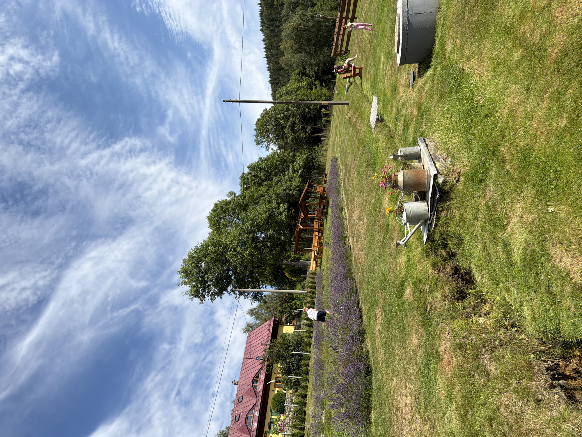 This outdoor photograph captures a scenic view of a garden area in Świeradów-Zdrój, Poland. The foreground features a lush green lawn with a small, eroded ditch. To the right of the ditch, a collection of gardening items is arranged on a concrete slab, including two watering cans, one rusty milk churn, and a smaller metallic object, with a pot of colorful flowers placed on top of the churn. Further to the right, a circular concrete structure, possibly a wellhead or fire pit, is visible.
In the middle ground, a person in a white t-shirt and dark shorts is tending to a large patch of purple lavender. Behind the lavender field, a wooden gazebo with benches is situated on a grassy slope. Further back, a yellow house with a red, multi-gabled roof and dormer windows is visible, surrounded by manicured hedges and trees. A wooden fence runs along the property.
In the background, dense green trees and hills create a backdrop, with a clear blue sky dotted with wispy white clouds. Several people are present in the scene: two individuals are seated on a wooden bench on the right side of the frame, and a young child in pink attire is standing near a wooden fence on the far right. A utility pole with wires is also visible. The overall impression is one of a tranquil, rural landscape with signs of human activity and cultivation.