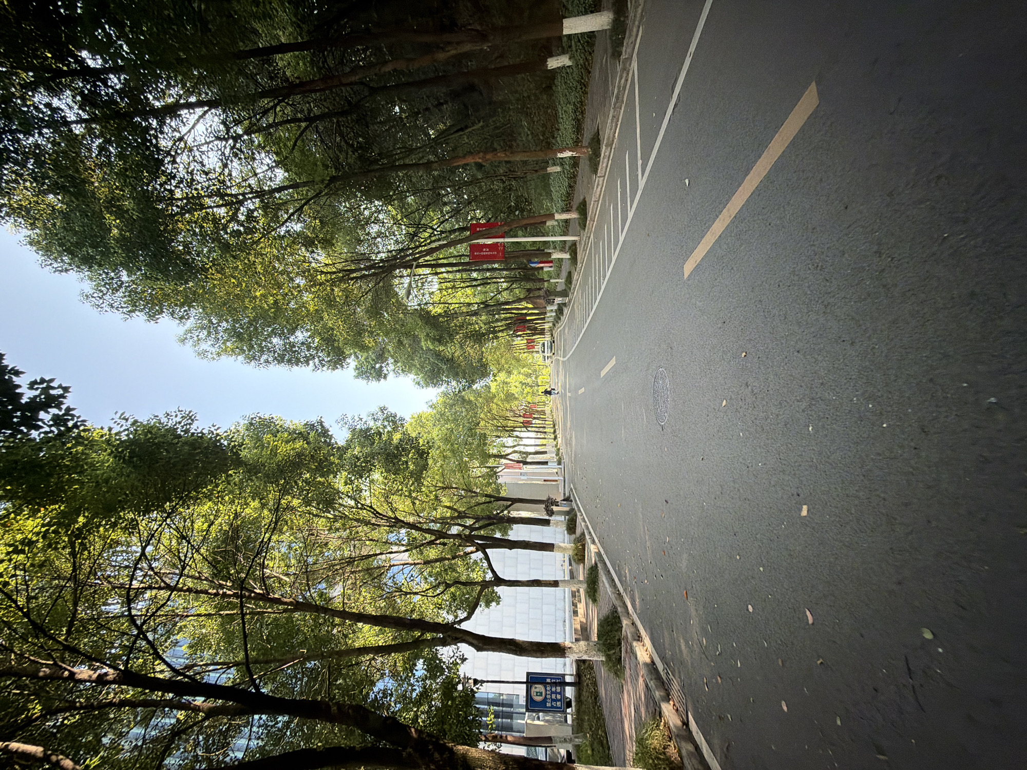The image depicts an asphalt road lined with trees on both sides, creating a canopy effect. The road has clear lane markings, including a solid yellow line and dashed white lines. On the left side of the road, there is a sidewalk with a building behind it, featuring a facade of white rectangular panels. A blue sign with Chinese characters is visible near the sidewalk. Red banners are hung on poles along the right side of the road, which slopes upwards into a wooded area. A single person is seen cycling in the distance on the road. The overall scene suggests a well-maintained urban or suburban environment, possibly a park or a university campus, within the city of Jiangjin, China. The sunlight filtering through the leaves indicates it is daytime.