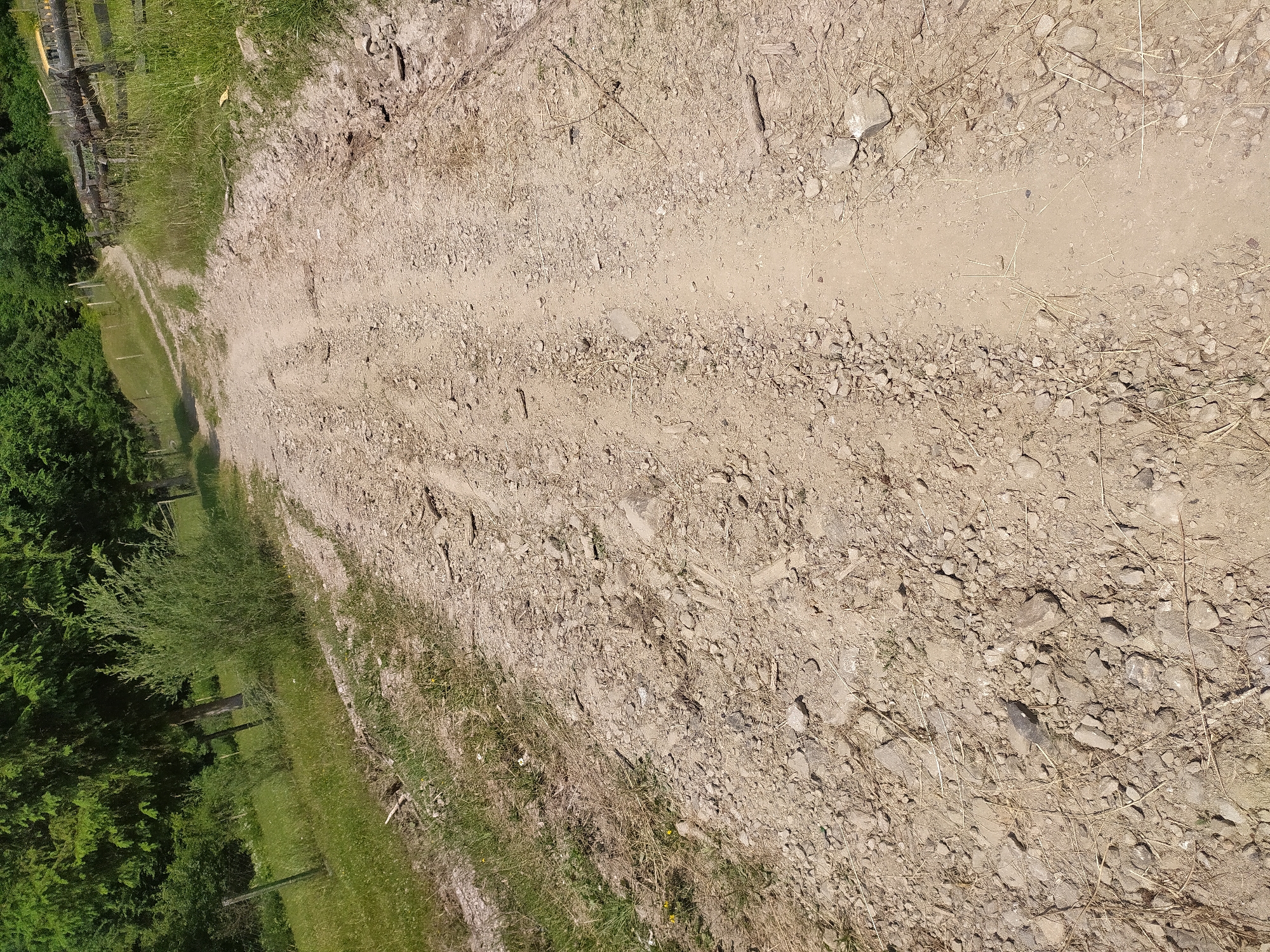 The image shows a dirt road in a rural area, likely in Hoverla, Ukraine, given the provided context. The road is unpaved and composed of dirt and gravel, with visible tire tracks indicating it is used by vehicles. Lush green trees and vegetation border the road on both sides, with some areas of grass and smaller bushes. In the background, a rustic wooden fence is visible, suggesting the presence of farmland or a property boundary. The sky is not visible, but the lighting suggests it is daytime with sunlight casting shadows on the road. There are no people or animals present in the image. The scene depicts a natural, undeveloped landscape.