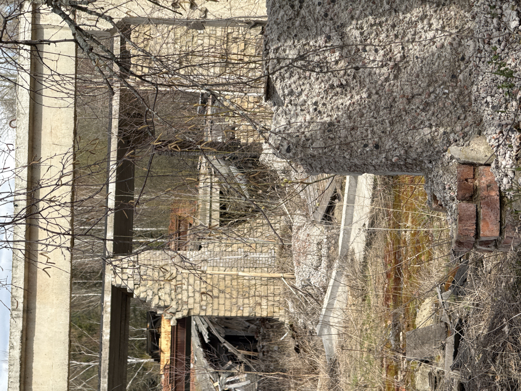 An image captures a scene of extensive decay within what appears to be an abandoned industrial or large concrete building, located in Гремяча, Russia. The perspective is from among dry, bare tree branches and sparse vegetation, looking towards the dilapidated structures.
The primary subjects are the remnants of concrete and brick architecture. On the left, two prominent vertical concrete pillars stand, showing signs of weathering. Further into the scene, various sections of the building constructed from light-colored bricks, some exhibiting intricate patterns, are visible, interspersed with more concrete elements. One large concrete mass in the foreground, to the right, displays a rough, coarse texture with exposed aggregate, suggesting heavy wear or damage. Below it, a pile of red bricks is discernible amidst the debris.
The scene is dominated by a sense of abandonment and ruin. Walls are broken, and dark openings suggest access to lower, unseen levels of the structure. The ground and lower levels are overgrown with dry grass, weeds, and numerous bare, skeletal branches crisscrossing the frame, indicating either late winter or early spring.
The lighting suggests it is daytime, with strong sunlight casting distinct shadows, highlighting the textures of the concrete and brickwork and creating contrast within the scene. No human activity or presence is visible, reinforcing the atmosphere of desolation. There is no visible text in the image.