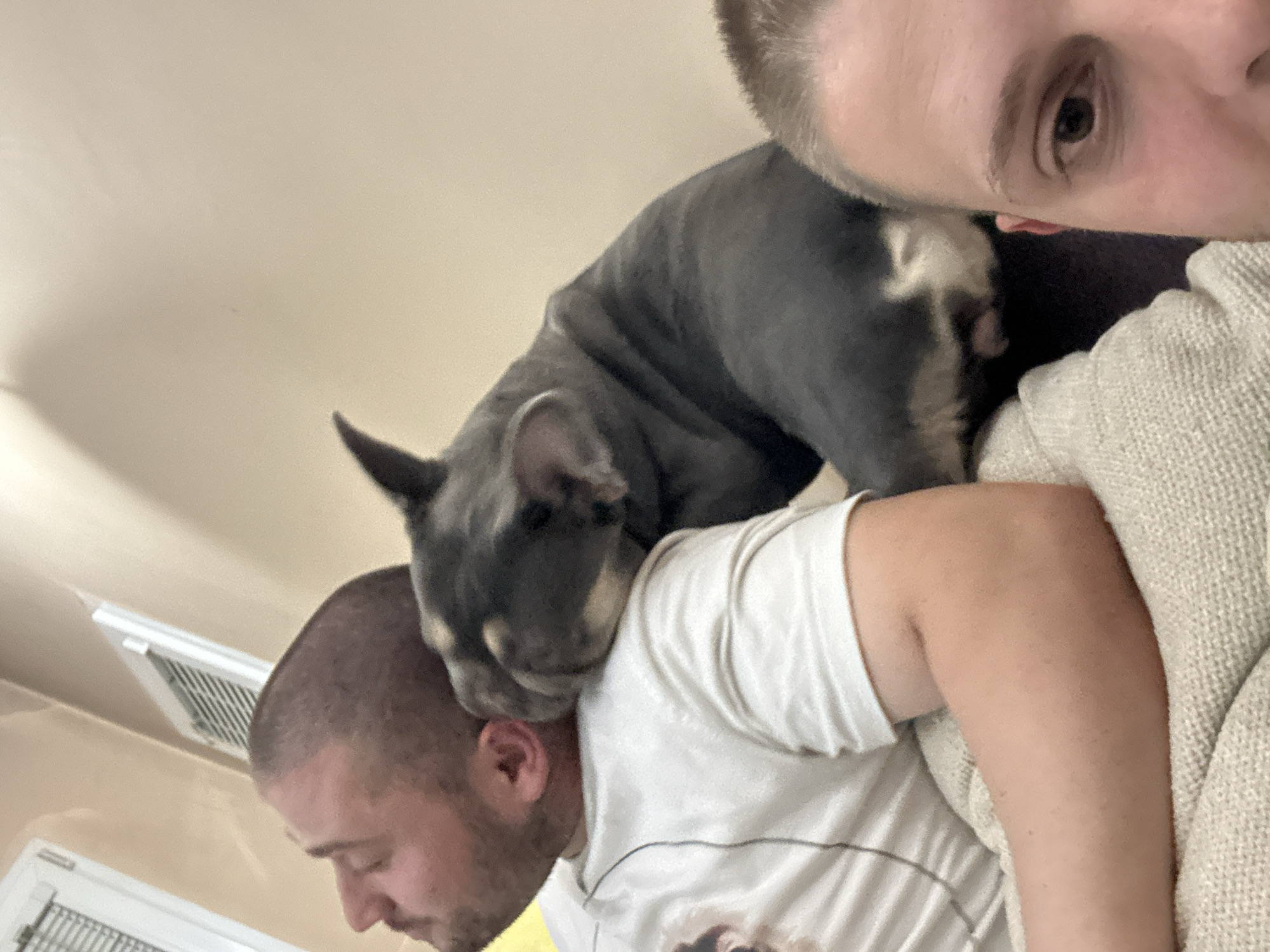 Two men and a dog are in a dimly lit room. One man, facing left, rests his head on his arm. A gray French bulldog is perched on his shoulder, nuzzling his neck. Another man is partially visible in the foreground, facing the camera, with only his head and right eye in frame. The men are wearing casual clothing, and the background appears to be a domestic setting with a wall and an air vent.