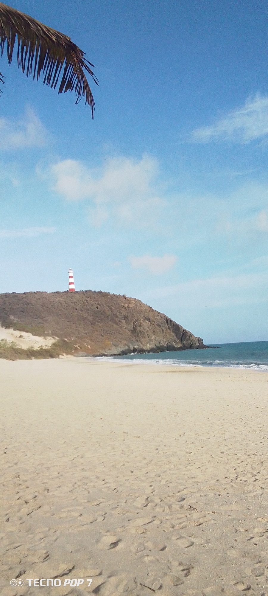 The image shows a beach in Pedro González, Venezuela. The sky is blue with scattered clouds. A palm tree branch is visible in the upper left corner. In the distance, a hill with a red and white striped lighthouse sits on top. The beach sand is light-colored and stretches to the water. The ocean waves are small.
