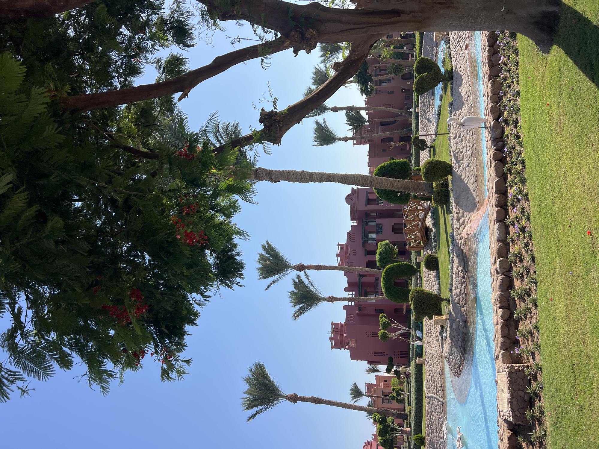 In Sharm El Sheikh, Egypt, this image captures a sunlit resort scene. A cluster of rose-colored buildings with architectural details reminiscent of traditional Egyptian design forms the backdrop. In front of the buildings, several tall palm trees stand, with one prominently in the foreground to the right, its trunk thick and textured, casting a shadow on the green lawn.
A winding artificial river, its water a vibrant turquoise, meanders through the landscape. The riverbanks are lined with stones and manicured greenery, including precisely shaped bushes. A small wooden bridge crosses the river in the mid-ground. On the bank of the river, a solitary white egret stands facing the water. In the foreground, a lush green lawn stretches out, with small flowers dotting the edge closest to the river. The sky above is a clear, bright blue.